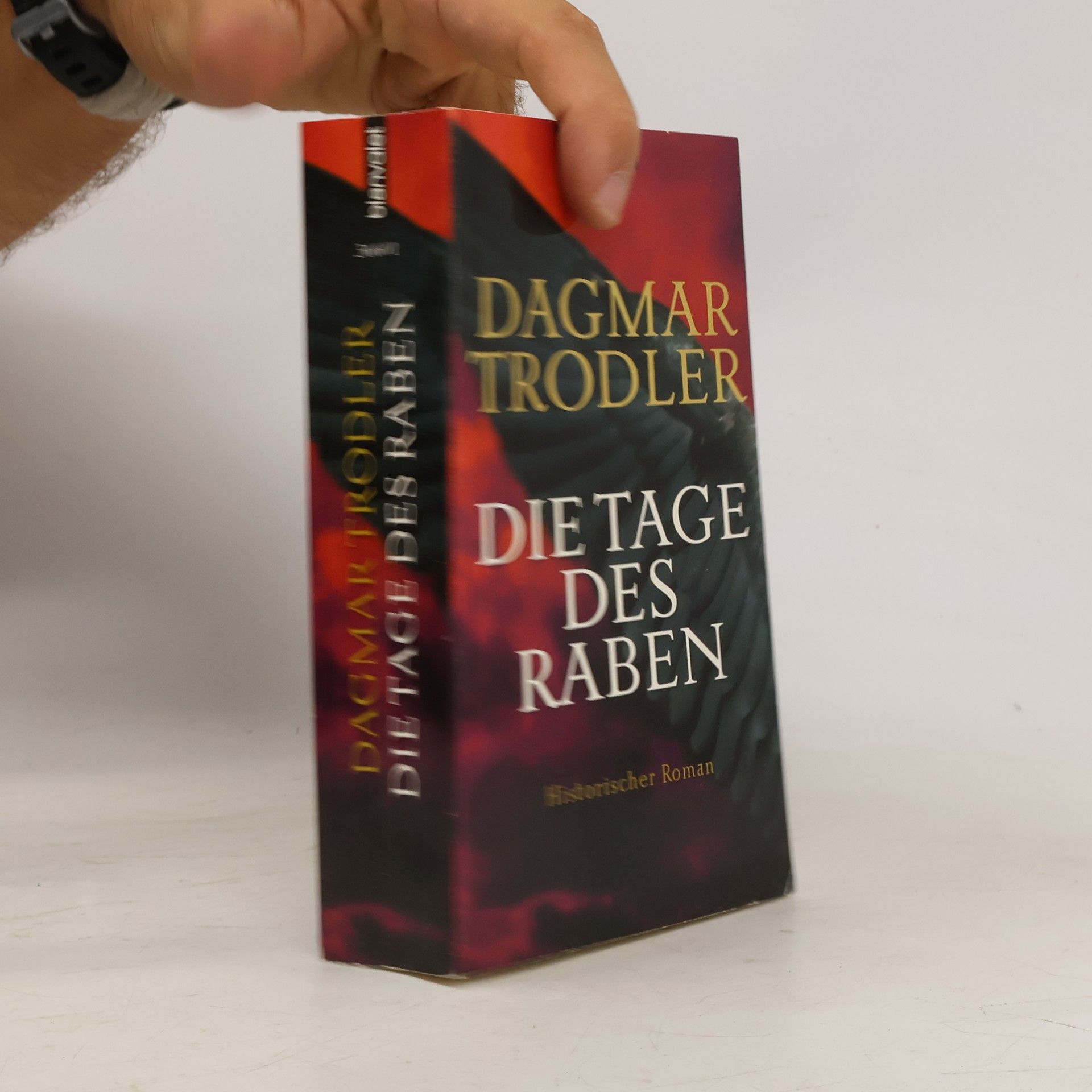 Dagmar Trodler Die Tage des Raben