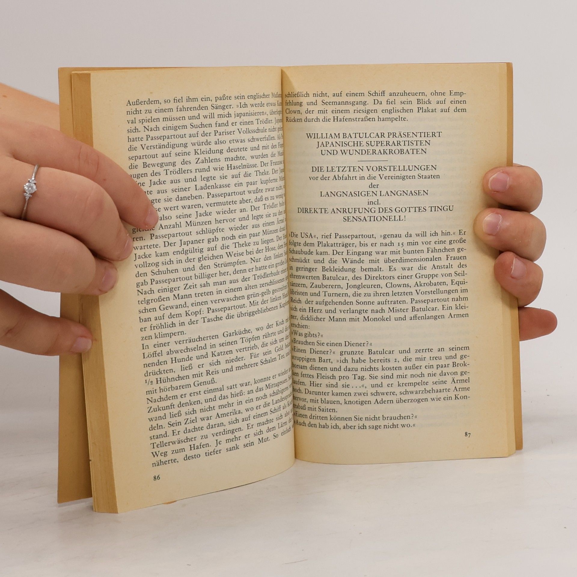Jules Verne Reise um die Erde in 80 Tagen