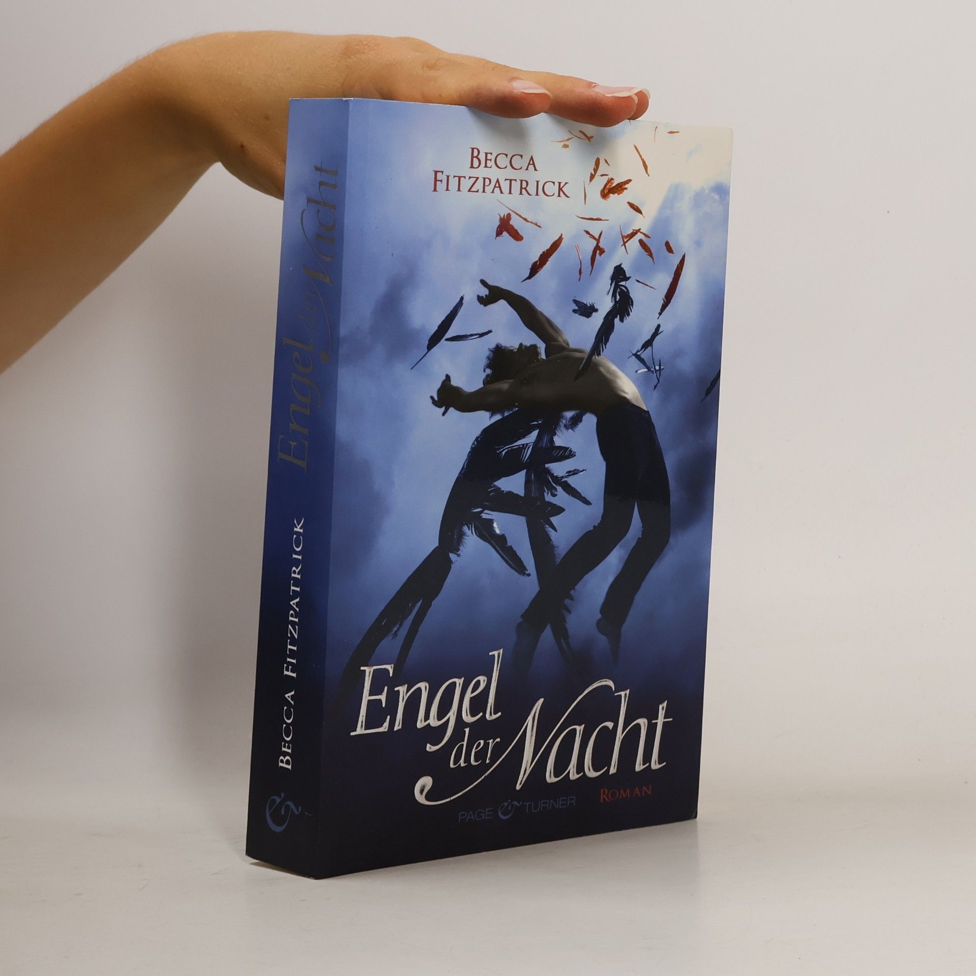 Becca Fitzpatrick Engel der Nacht