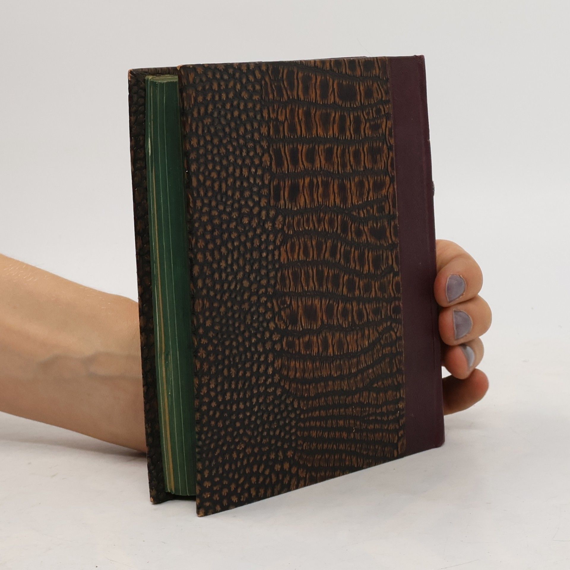 Benvenuto Cellini Vlastní životopis Benvenuta Celliniho, florentského zlatníka a sochaře I.