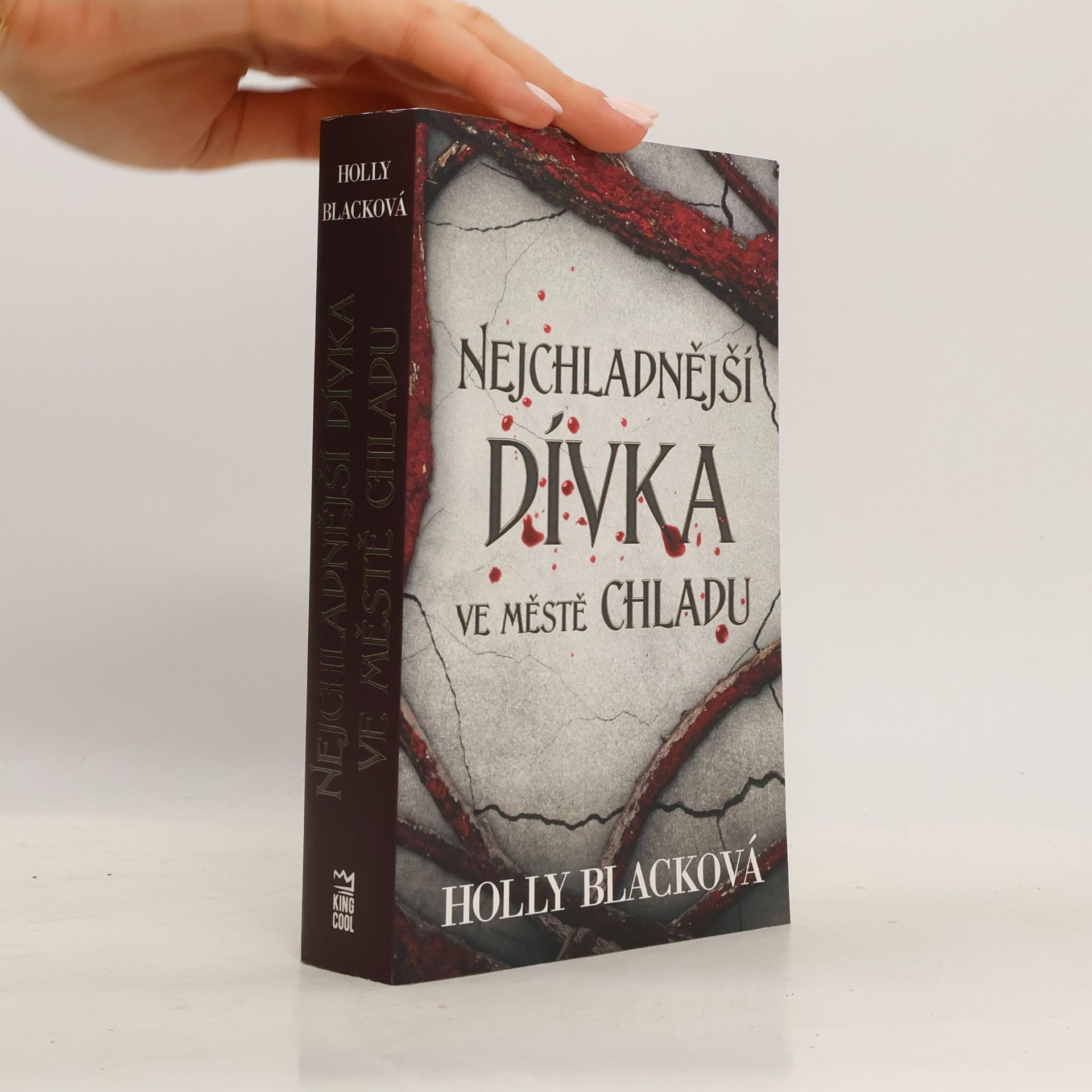 Holly Black Nejchladnější dívka ve městě chladu