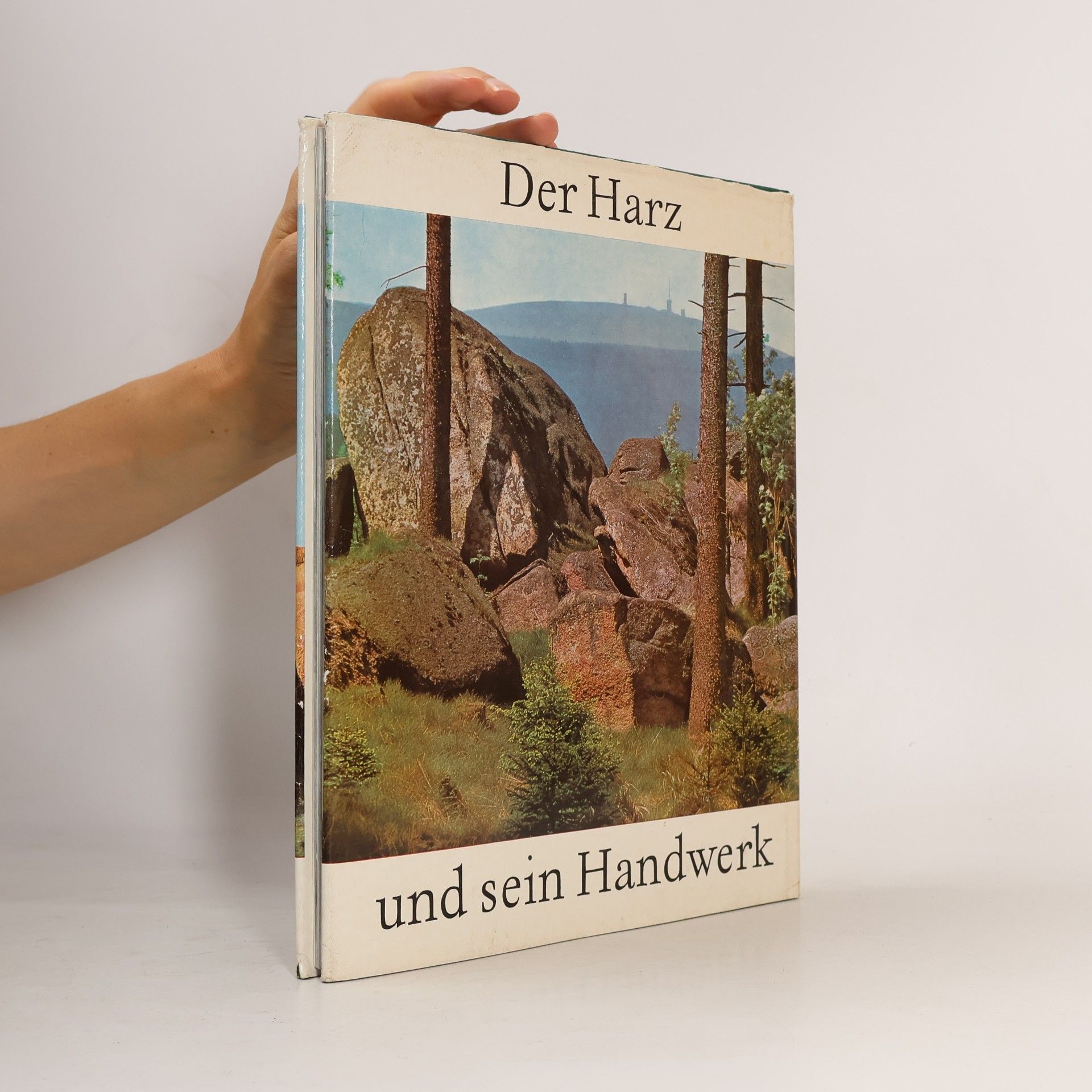 Ernst Schäfer Der Harz und sein Handwerk