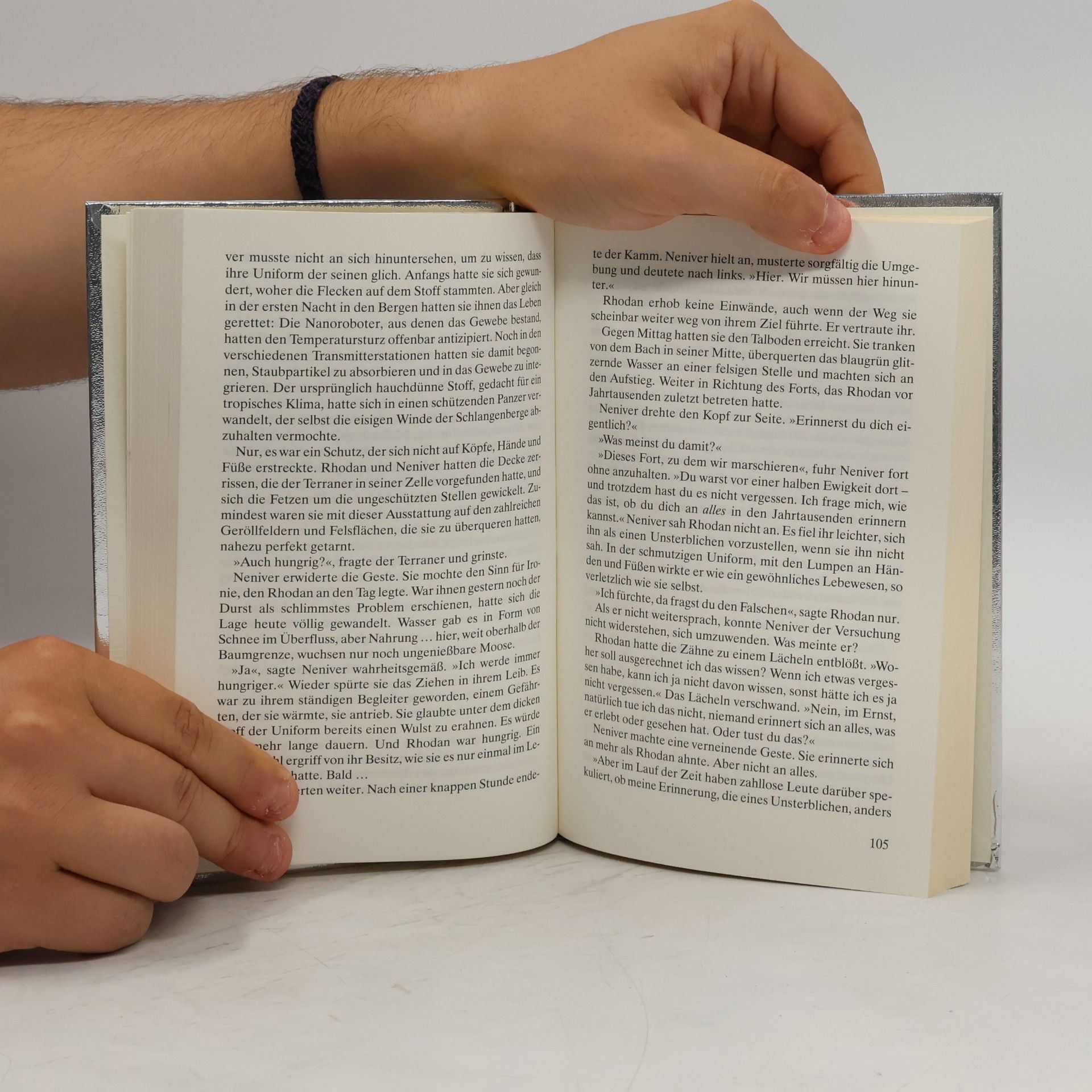 Frank Borsch Fleisch der Erinnerung
