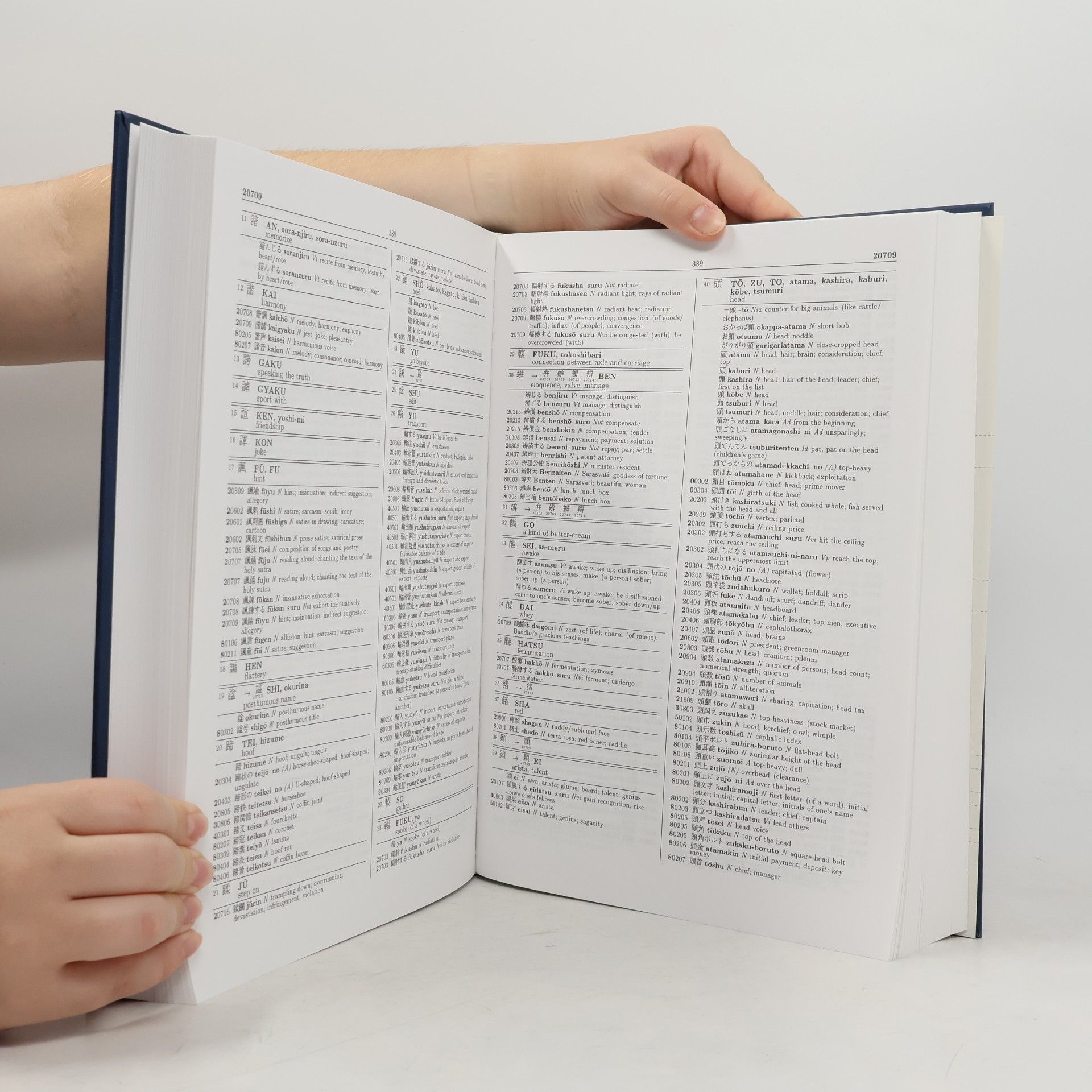 Emmerich Simoncsics Japanese-English Code Dictionary