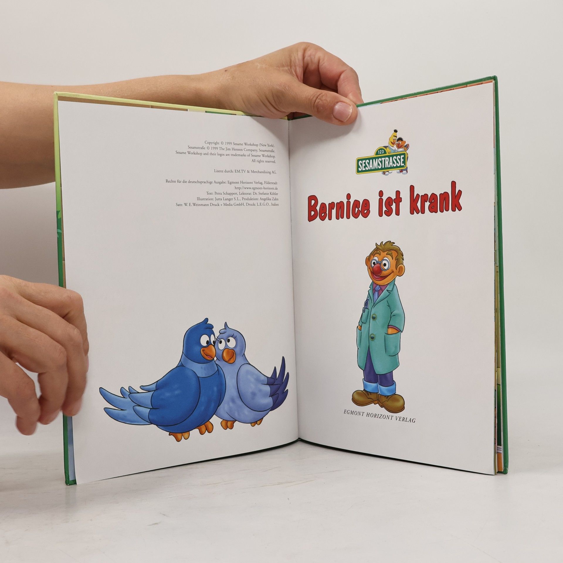 Autorenkollektiv Bernice ist krank