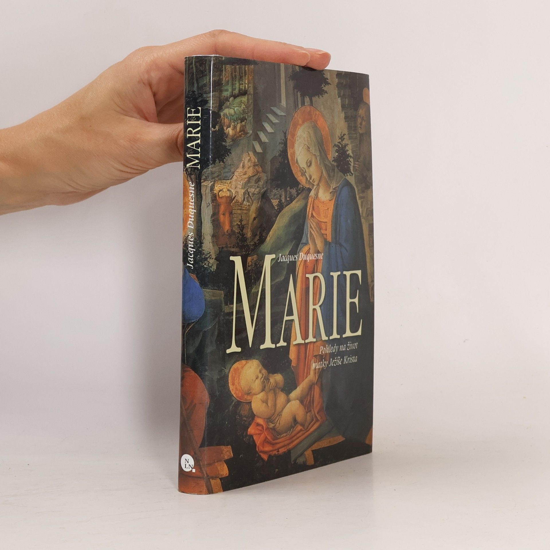 Jacques Duquesne Marie - Pohledy na život matky Ježíše Krista