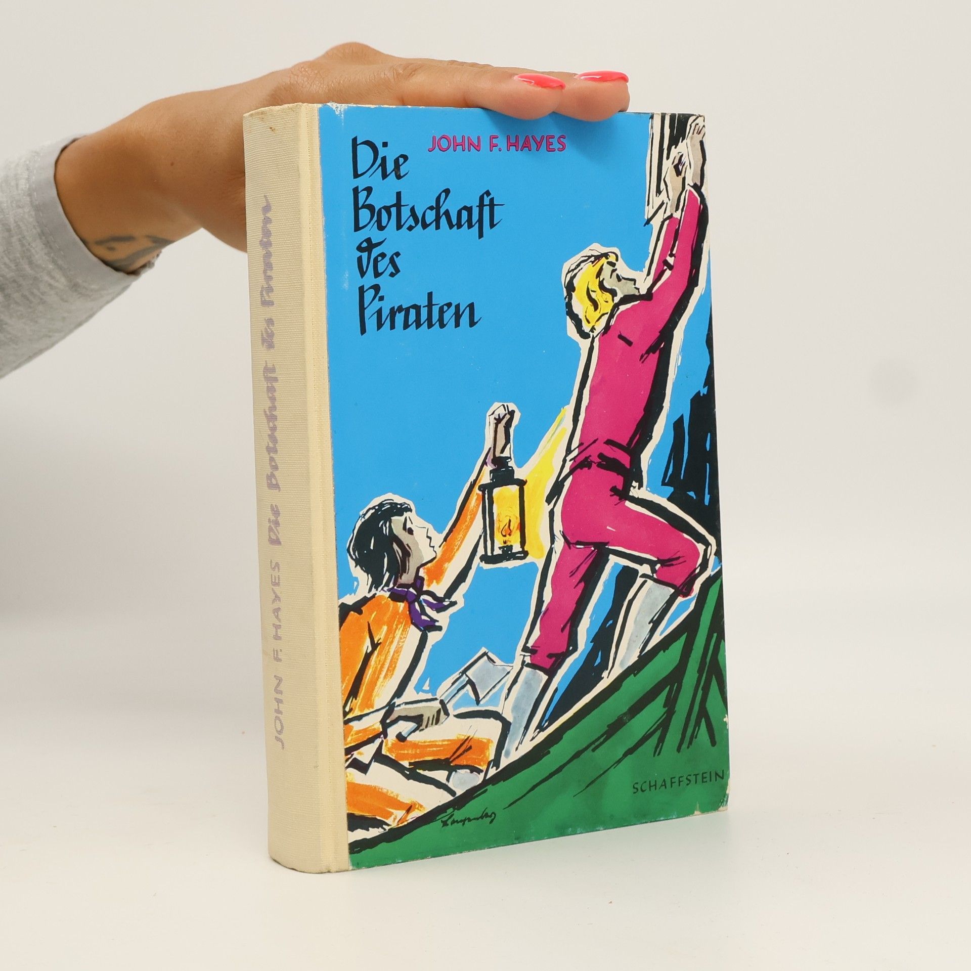 Die Botschaft des Piraten