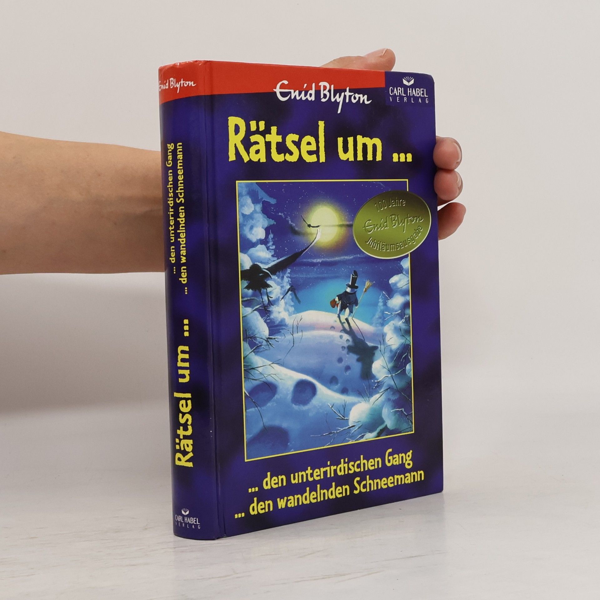 Enid Blyton Rätsel um den unterirdischen Gang