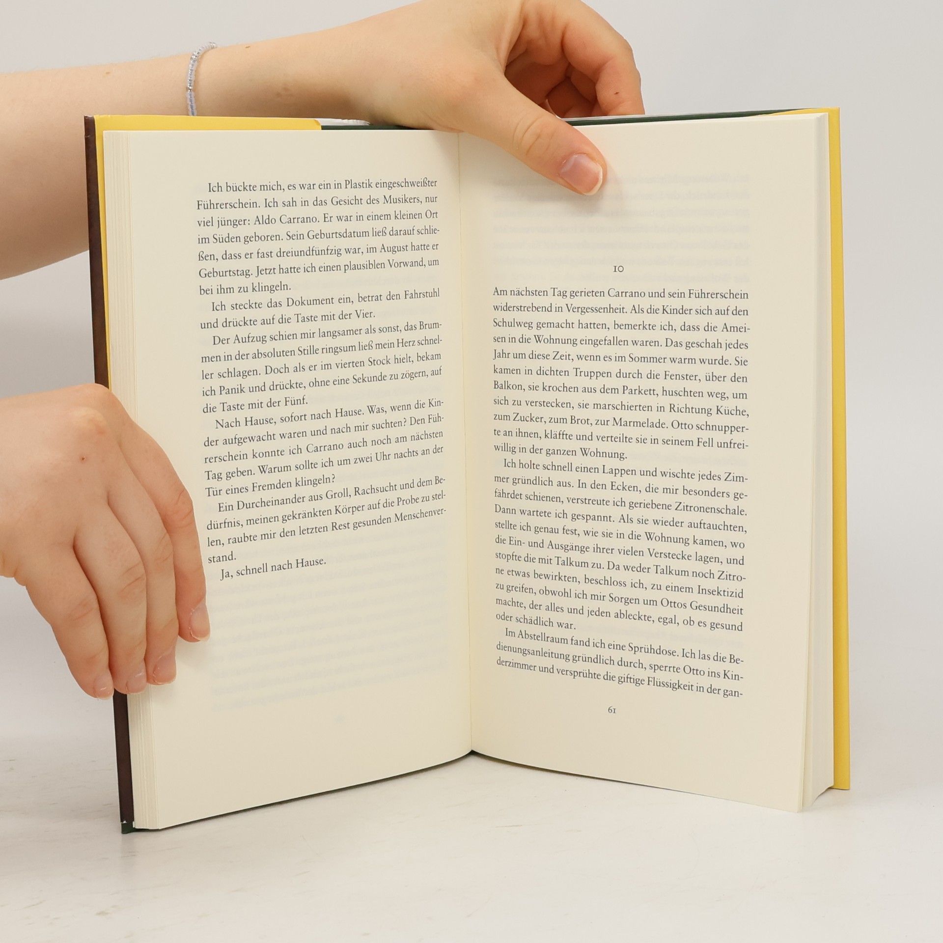 Elena Ferrante Tage des Verlassenwerdens