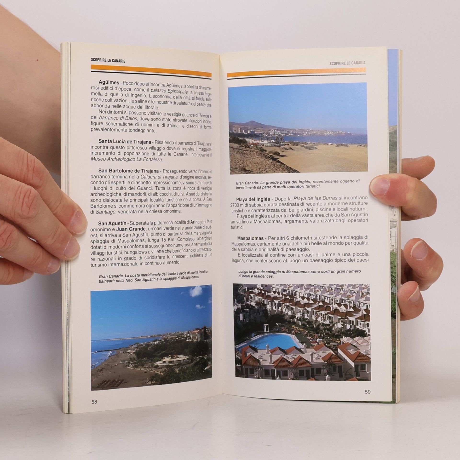 Giovanni Boccaccio Le Guide del Gabbiano: Isole Canarie