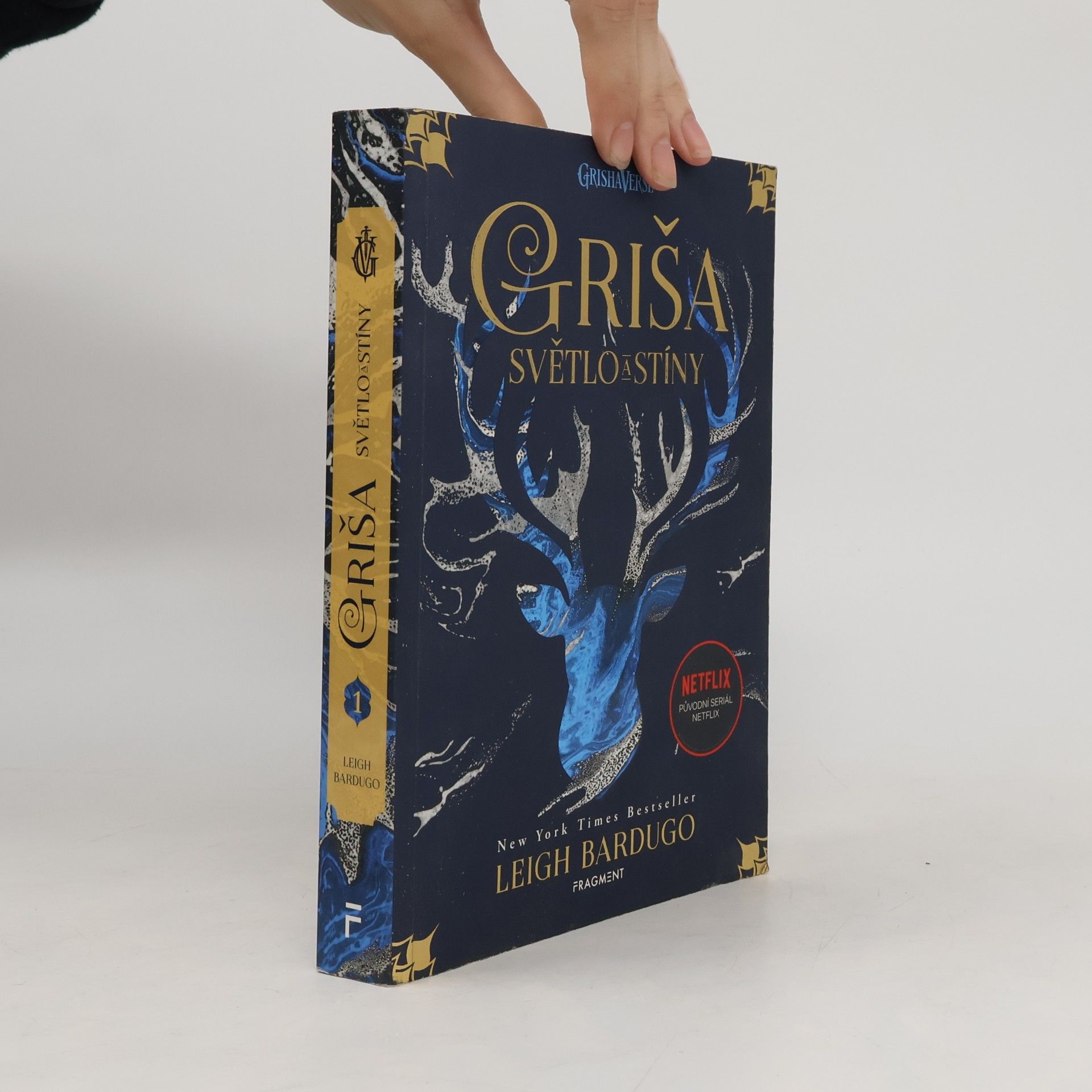 Leigh Bardugo Světlo a stíny