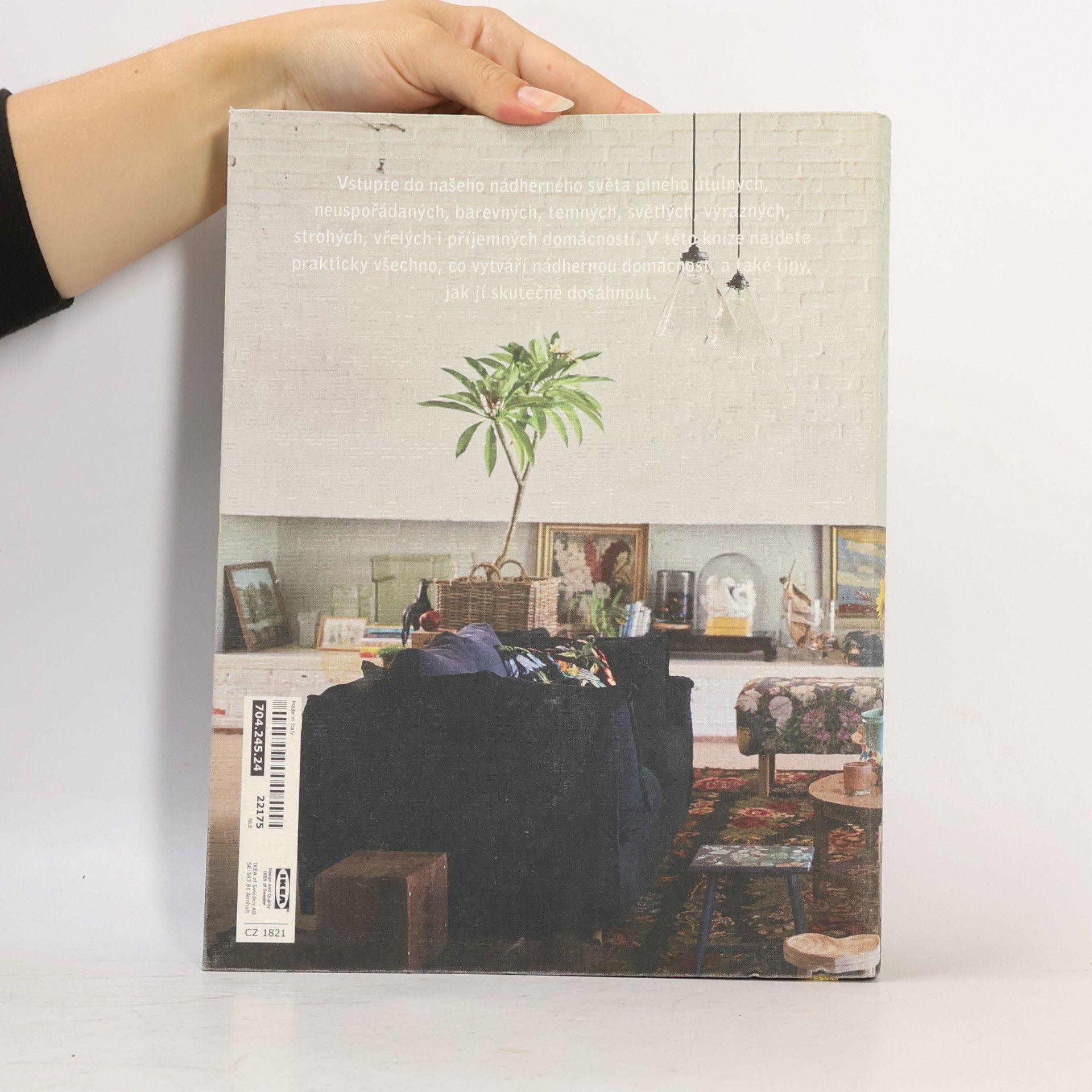 Collectif d'auteurs Milujeme domov