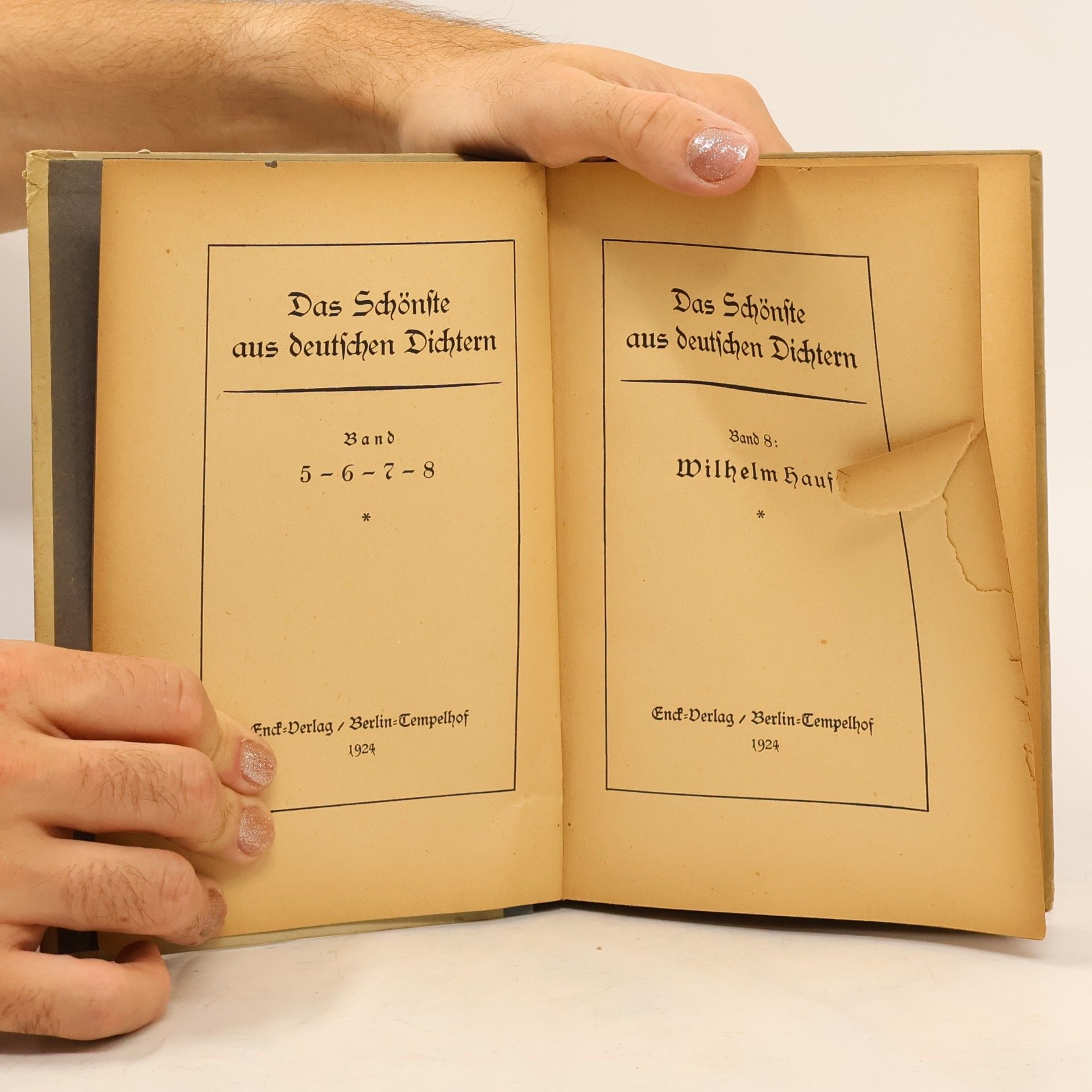 Wilhelm Hauff Das Schönste Band 8
