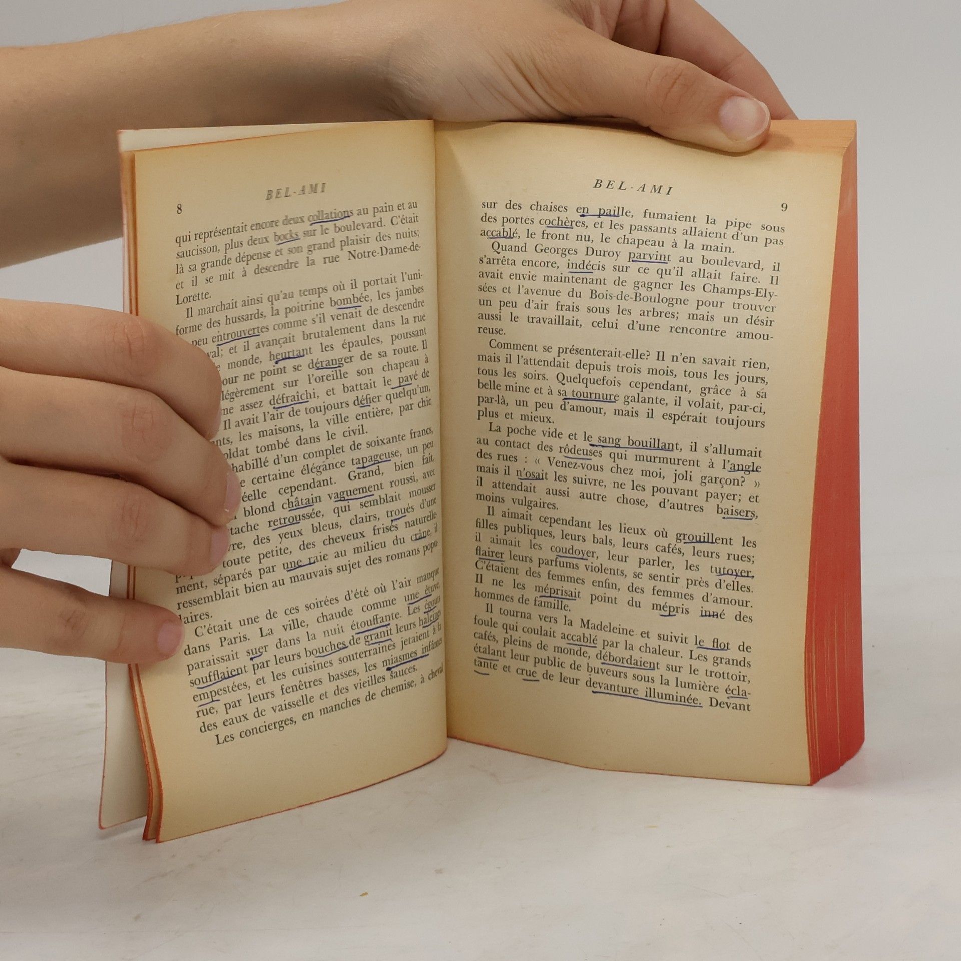Guy de Maupassant Bel-Ami
