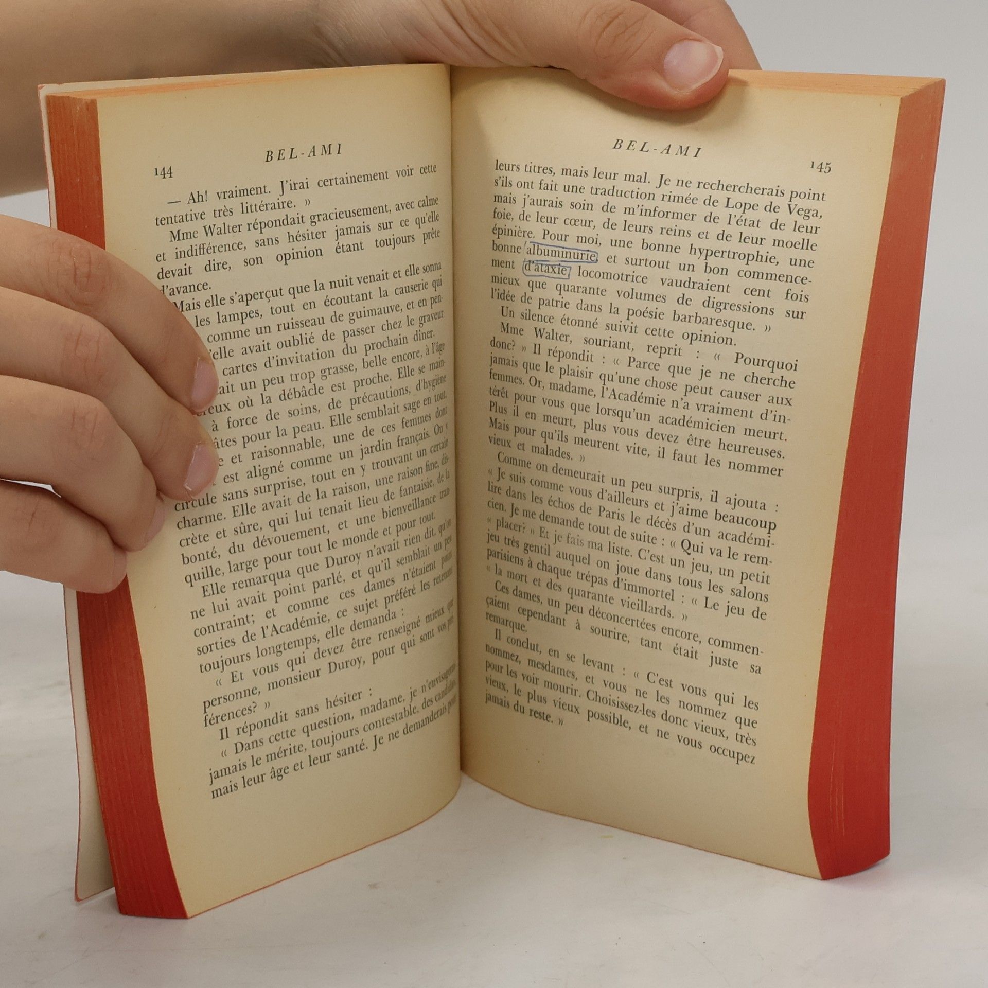 Guy de Maupassant Bel-Ami