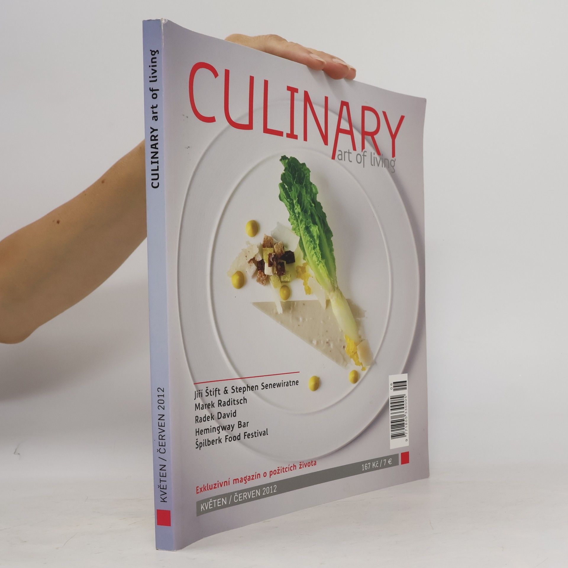 Kolektív autorov Culinary. Art of Living