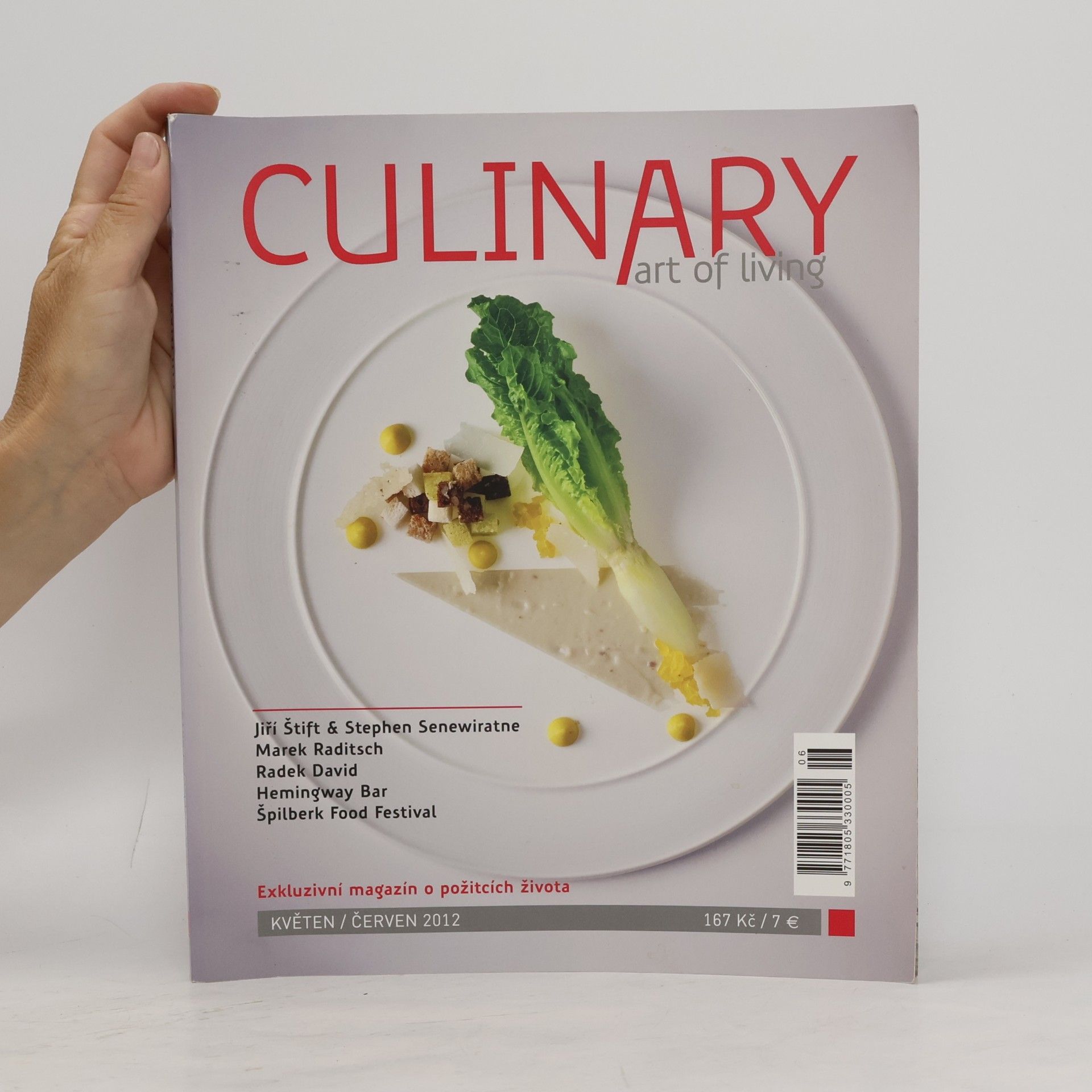 Kolektív autorov Culinary. Art of Living