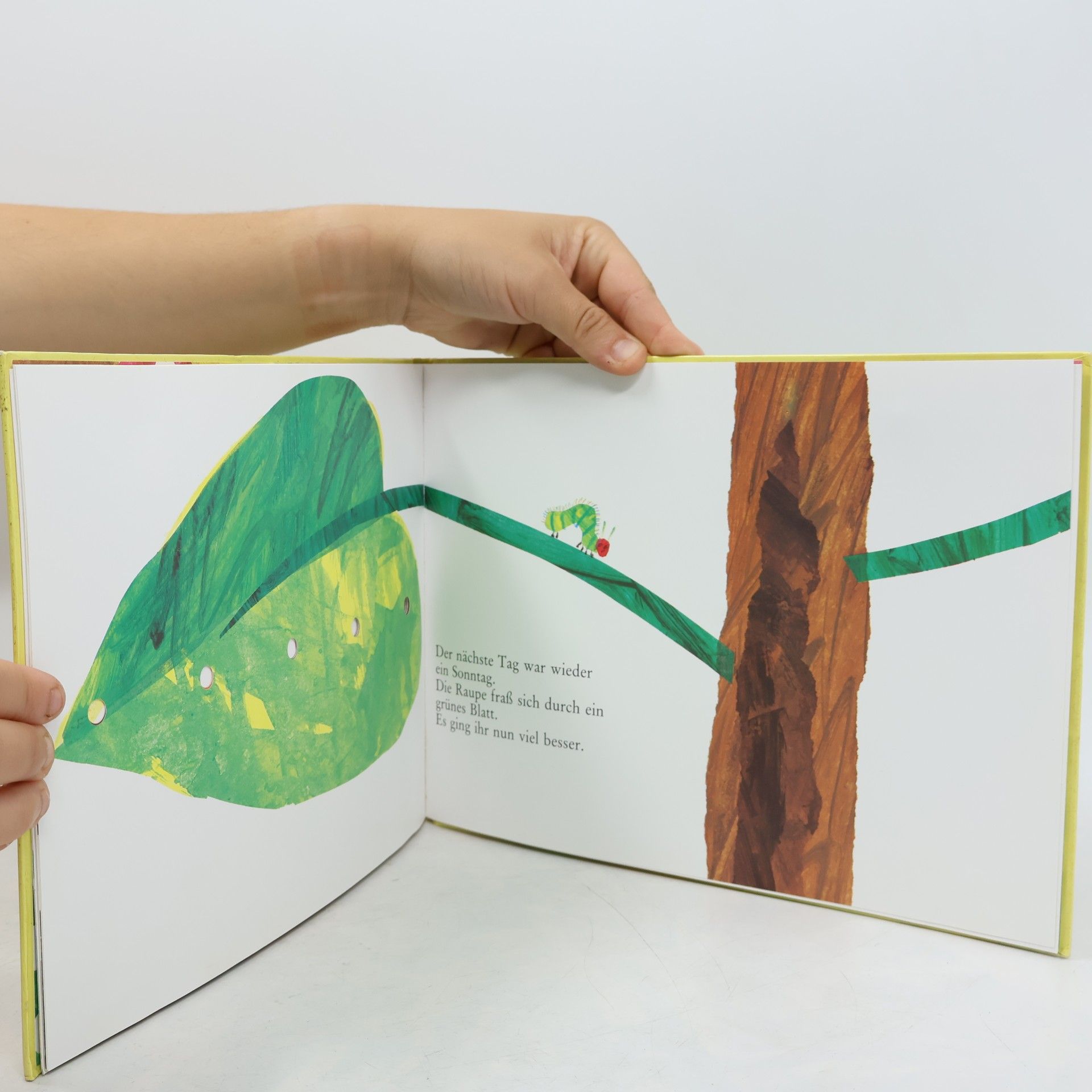 Eric Carle Die kleine Raupe Nimmersatt