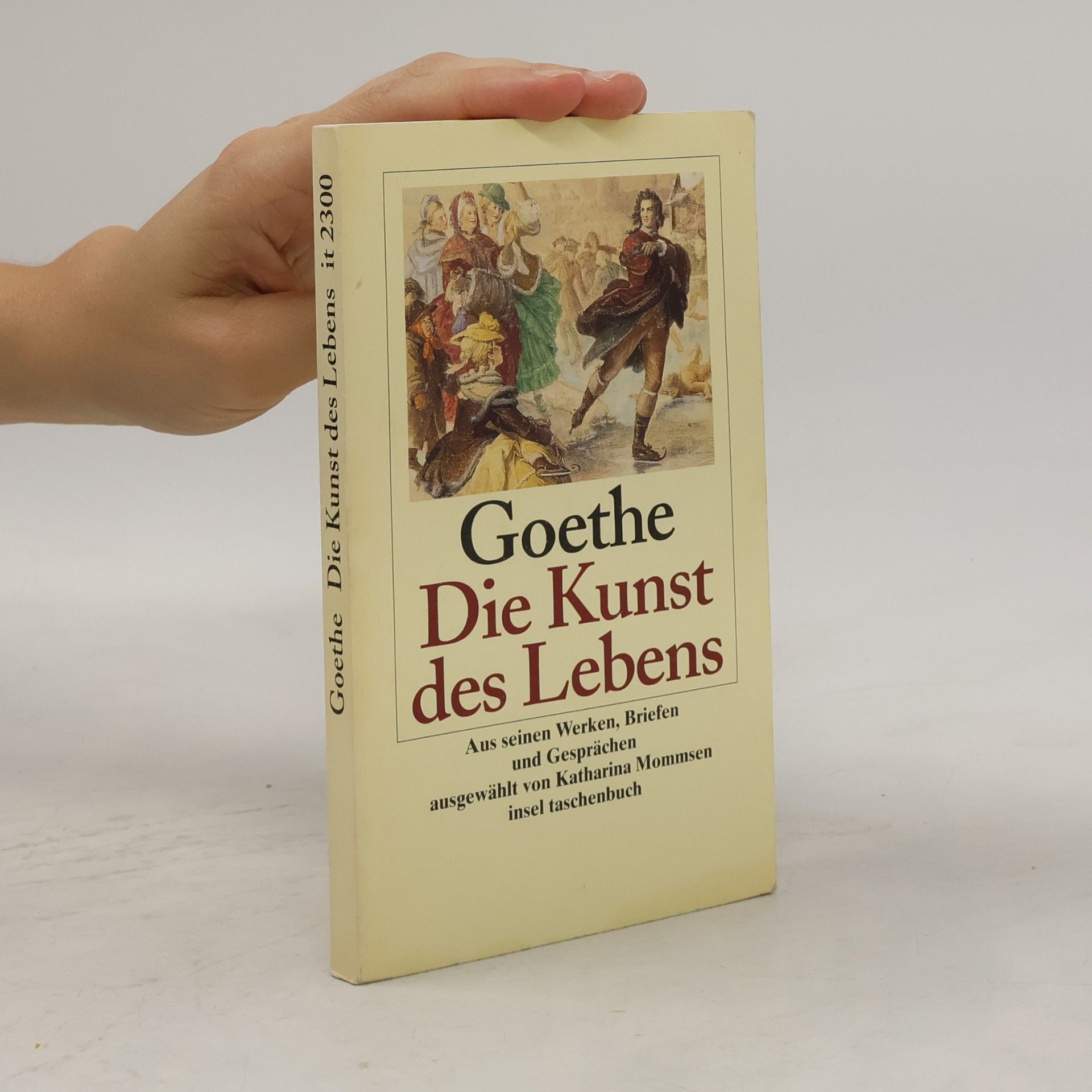Johann Wolfgang von Goethe Goethe - Die Kunst des Lebens