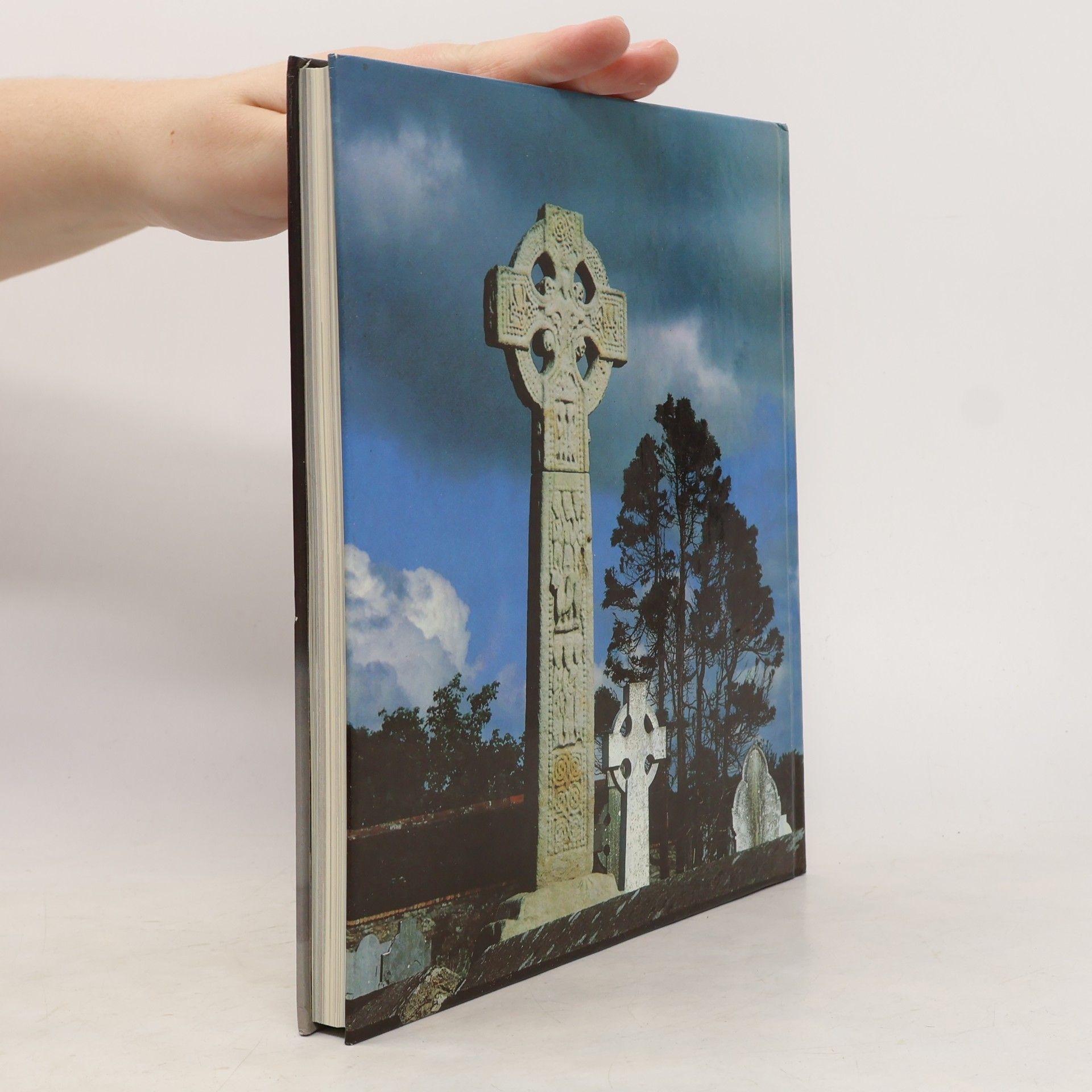 Michael Ryan Treasures of Ireland