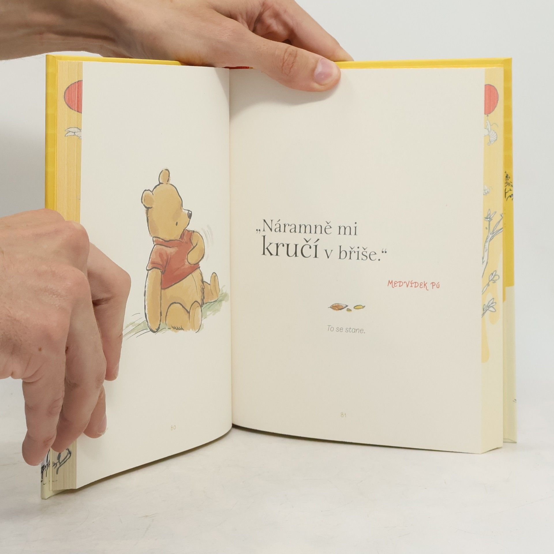 Kolektiv autorů Medvídek Pú - Malá kniha velkých mouder