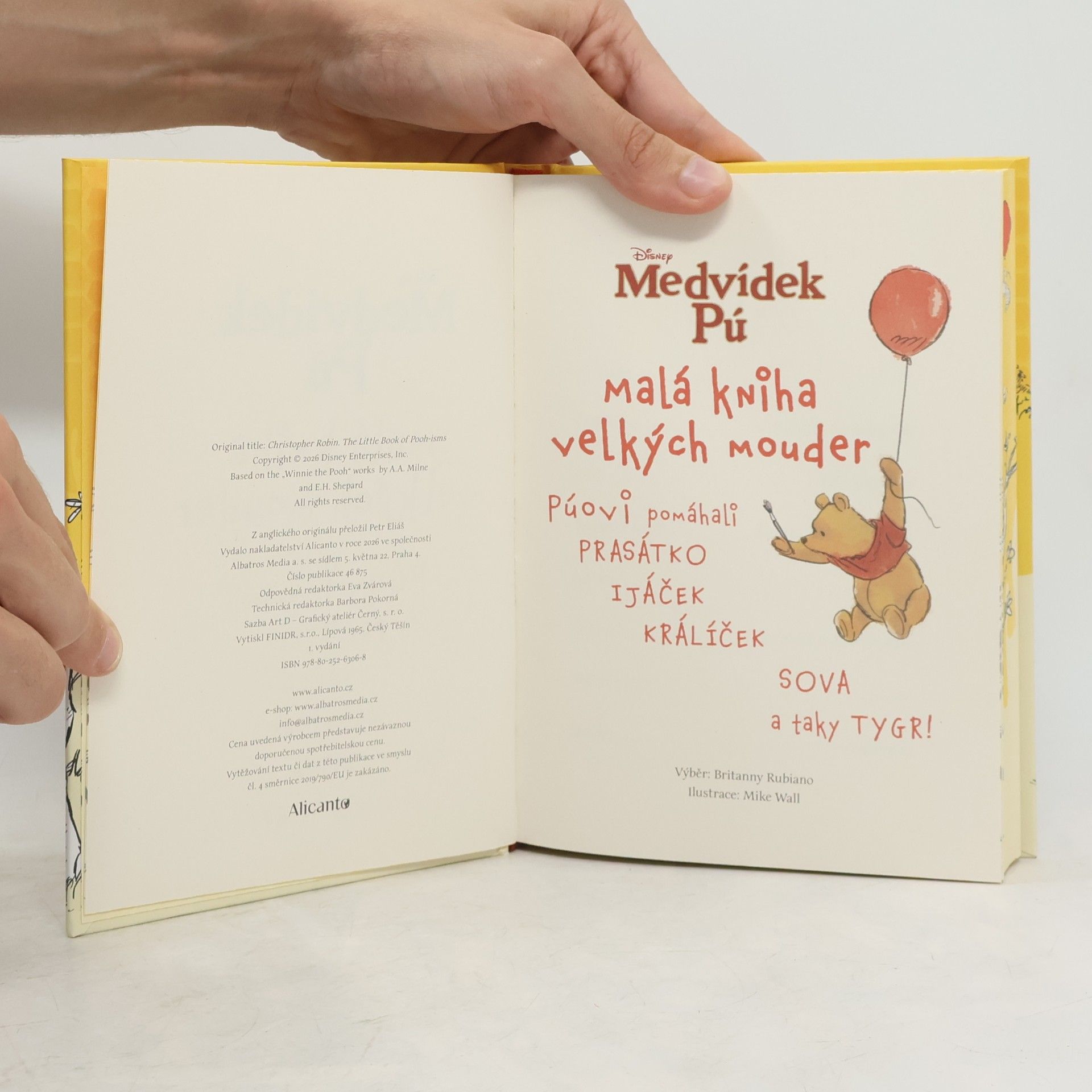 Kolektiv autorů Medvídek Pú - Malá kniha velkých mouder