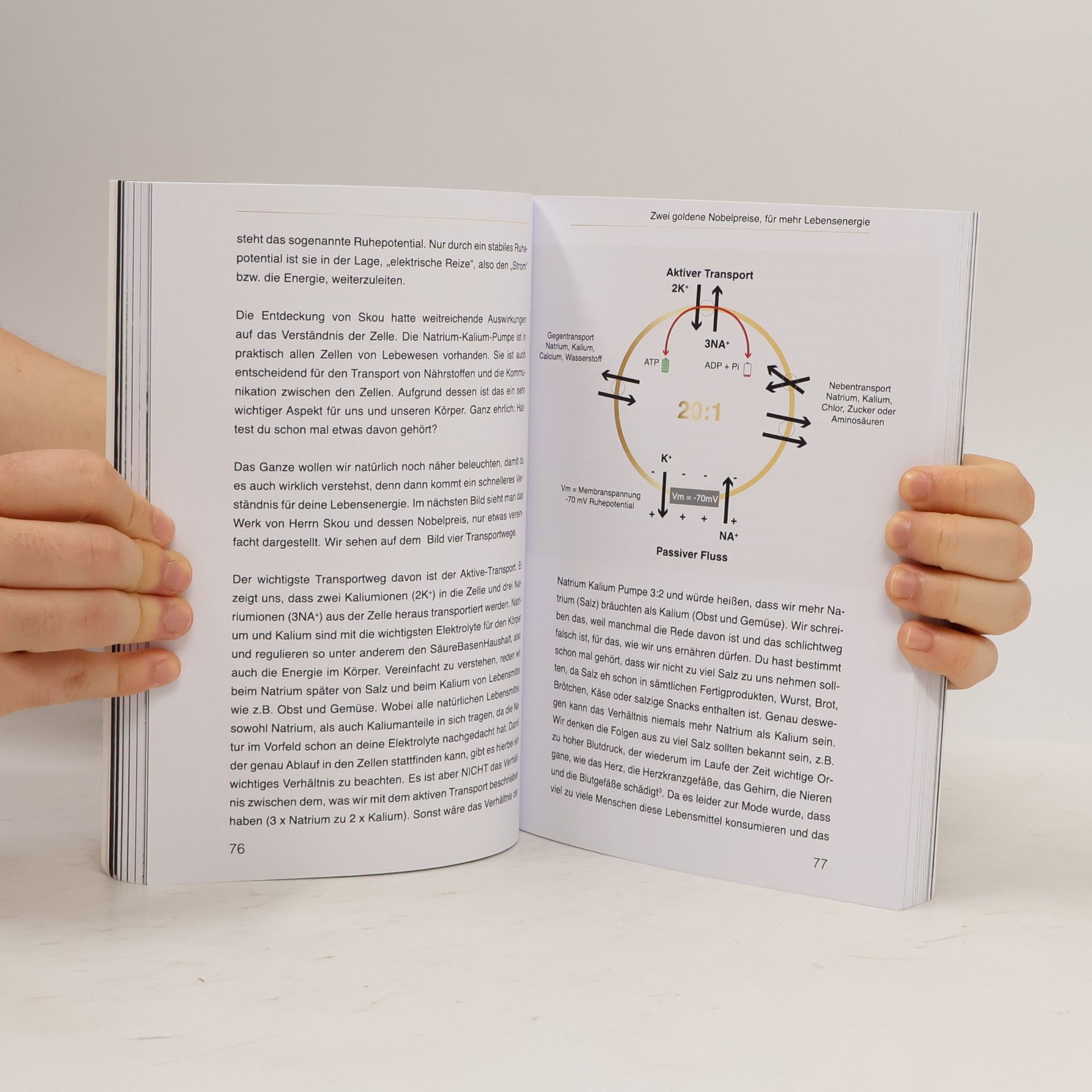 Collectif d'auteurs Chronisch Gesund
