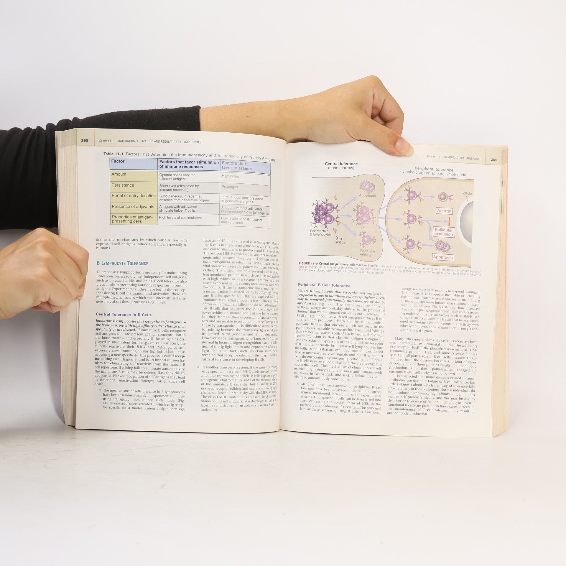 Abul K. Abbas Cellular and Molecular Immunology