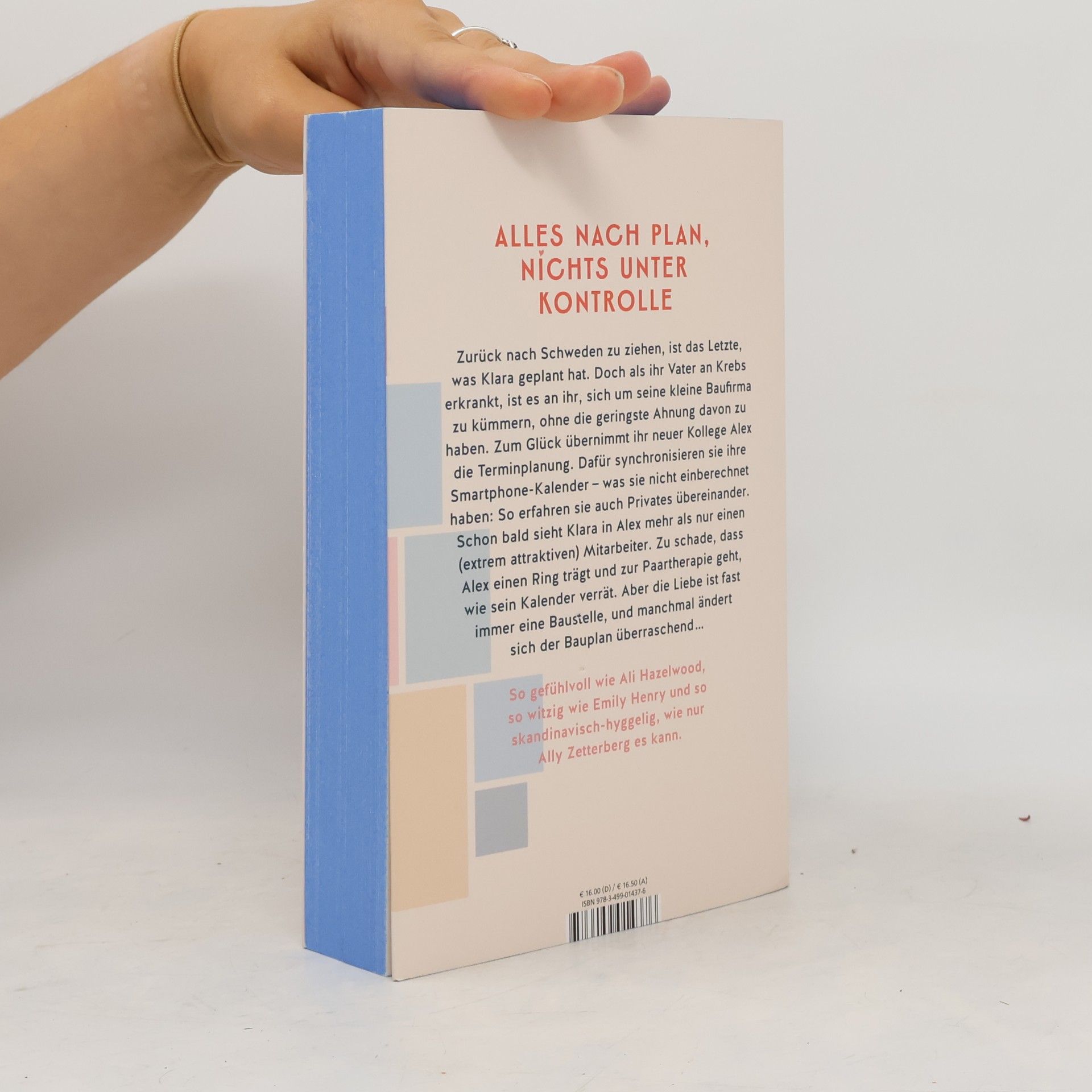 Ally Zetterberg The Happiness Blueprint