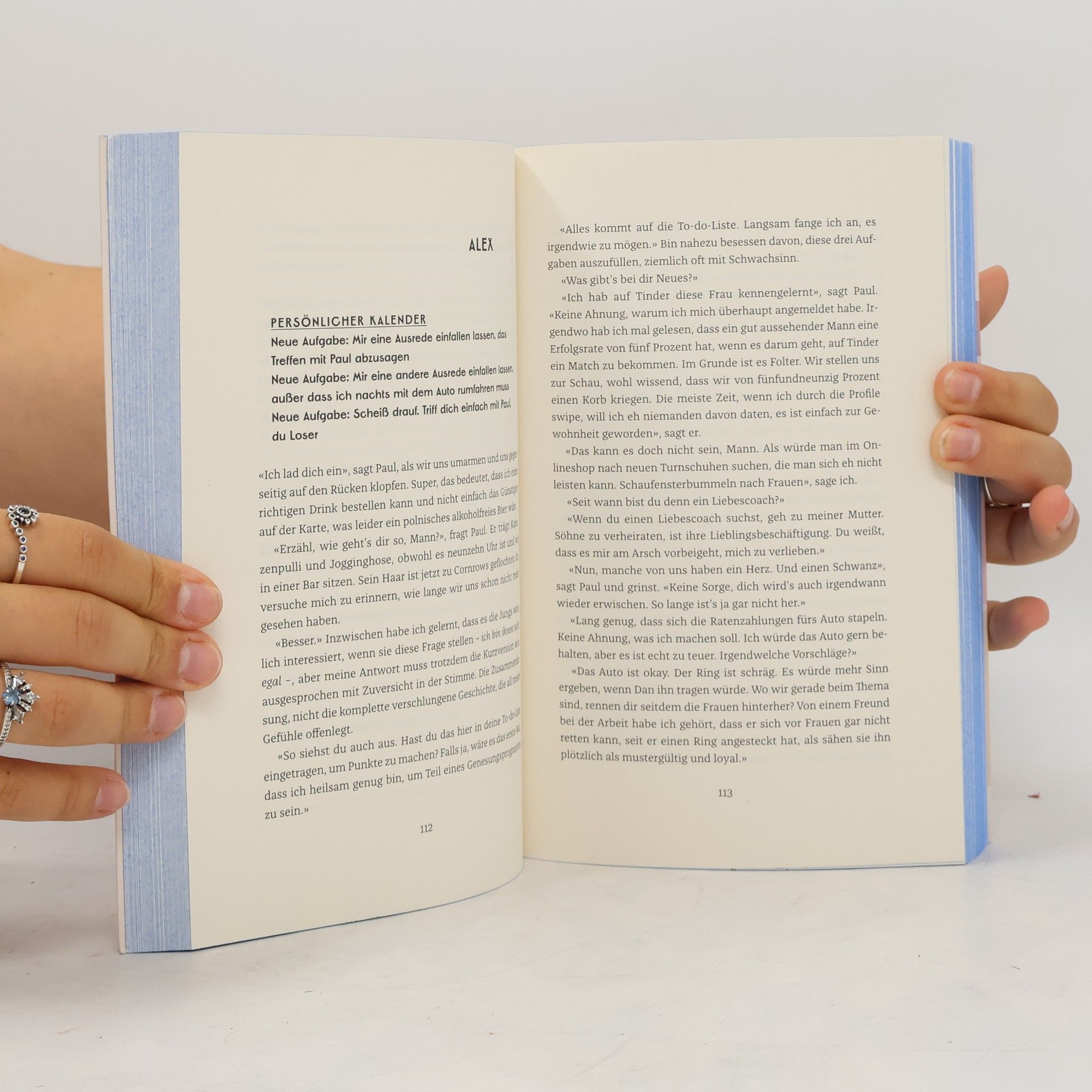 Ally Zetterberg The Happiness Blueprint