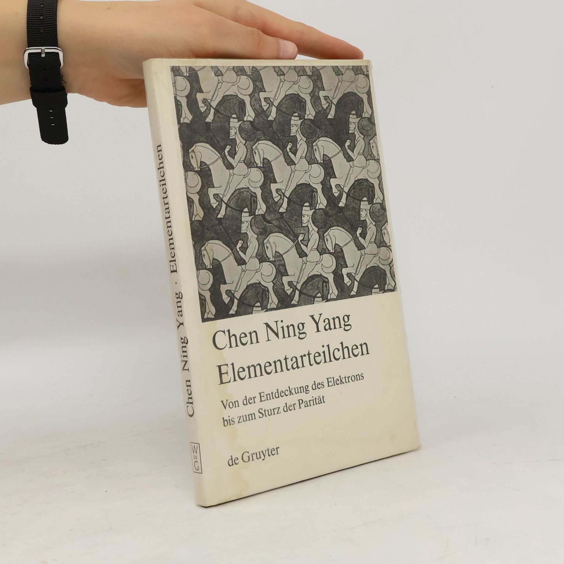 Chen Ning Yang Elementarteilchen