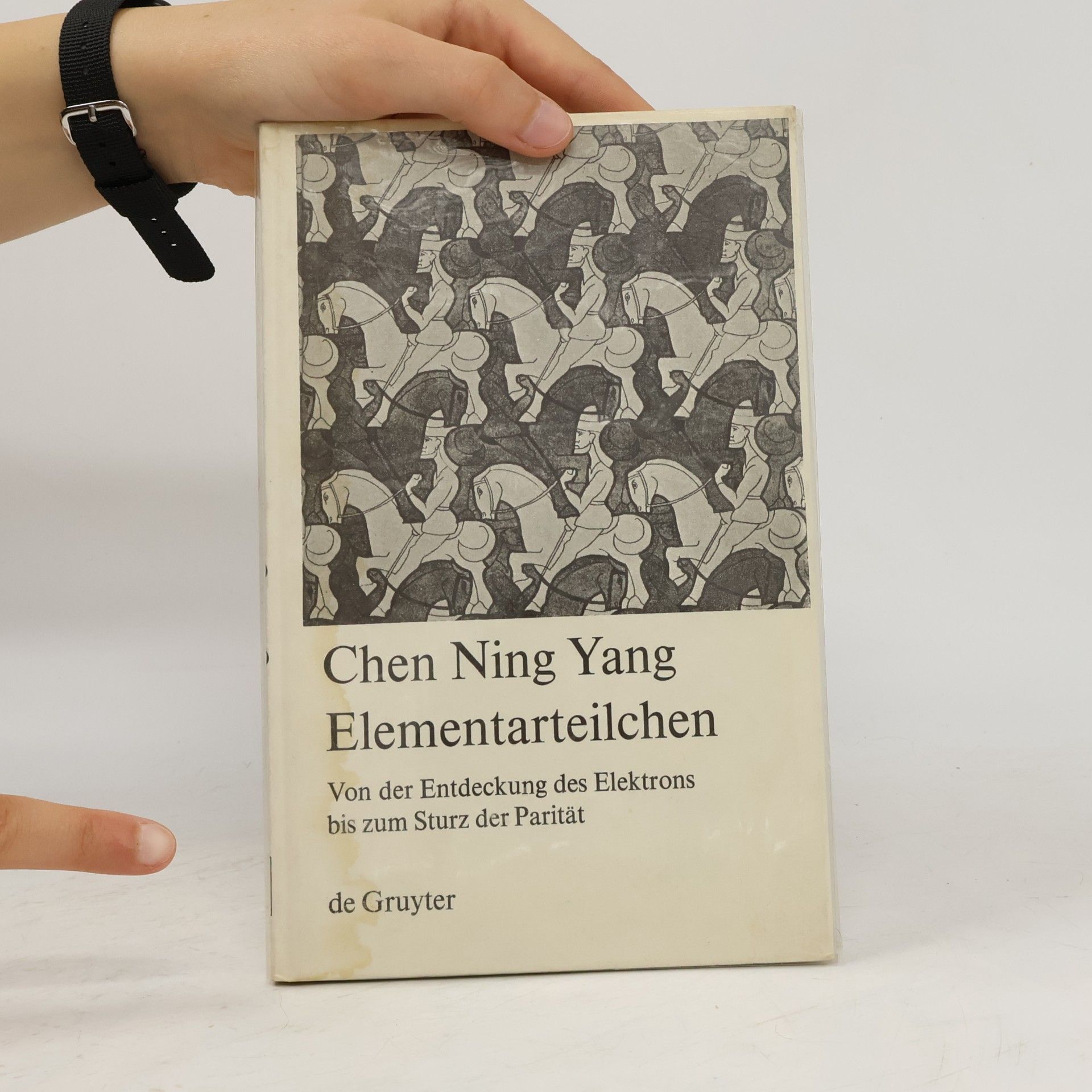 Chen Ning Yang Elementarteilchen