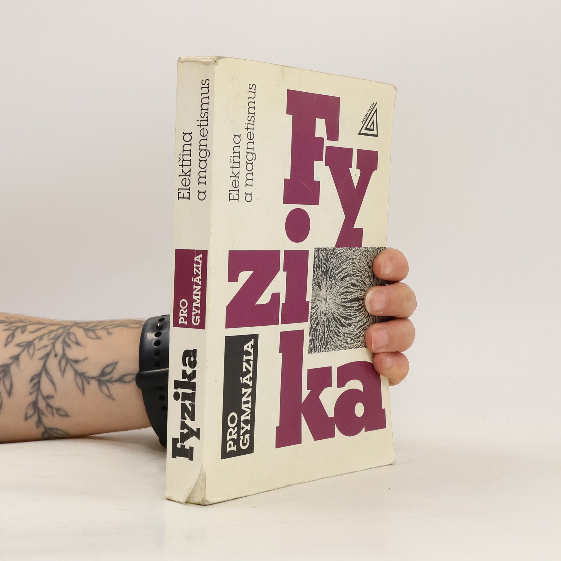 Oldřich Lepil Fyzika pro gymnázia. Elektřina a magnetismus