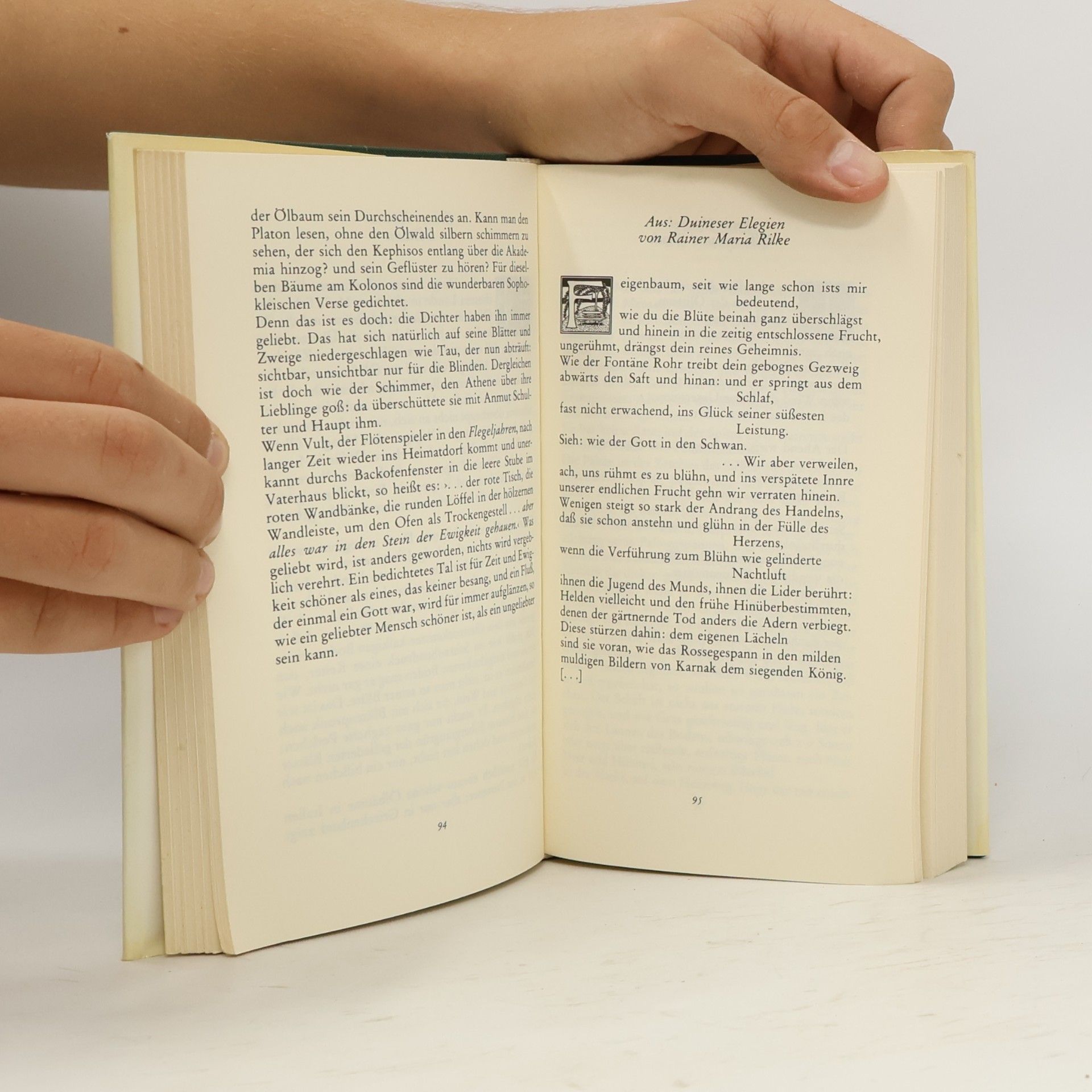 Gottfried Honnefelder Das Insel Buch der Bäume