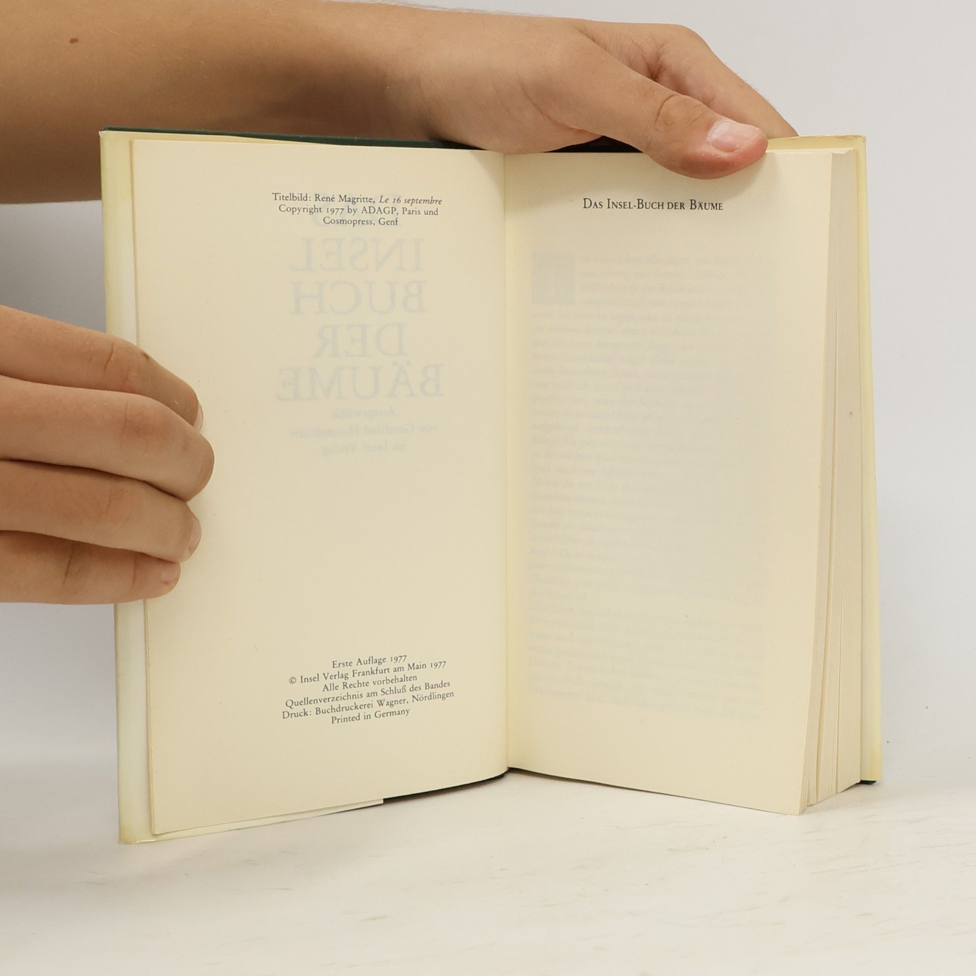 Gottfried Honnefelder Das Insel Buch der Bäume