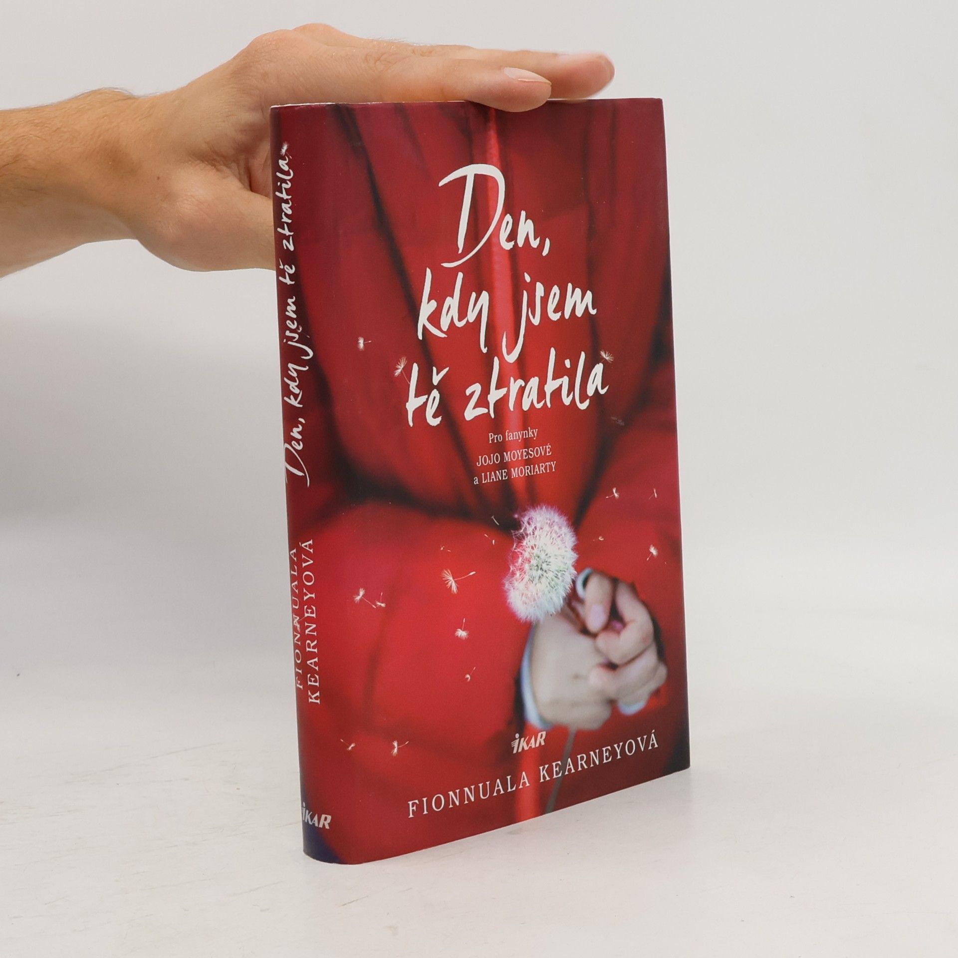 Fionnuala Kearney Den, kdy jsem tě ztratila