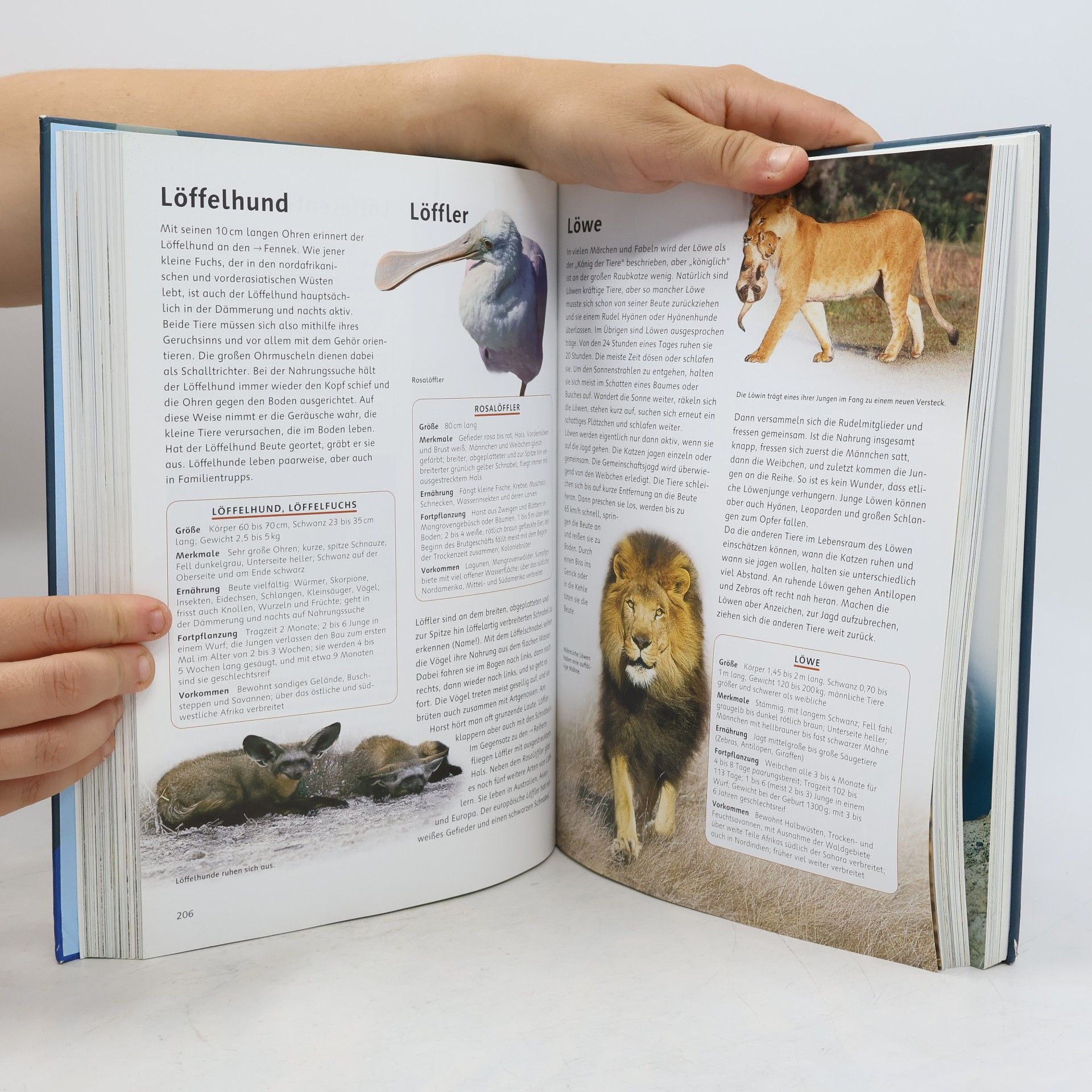 Eckart Pott Das grosse Ravensburger Tierlexikon von A bis Z