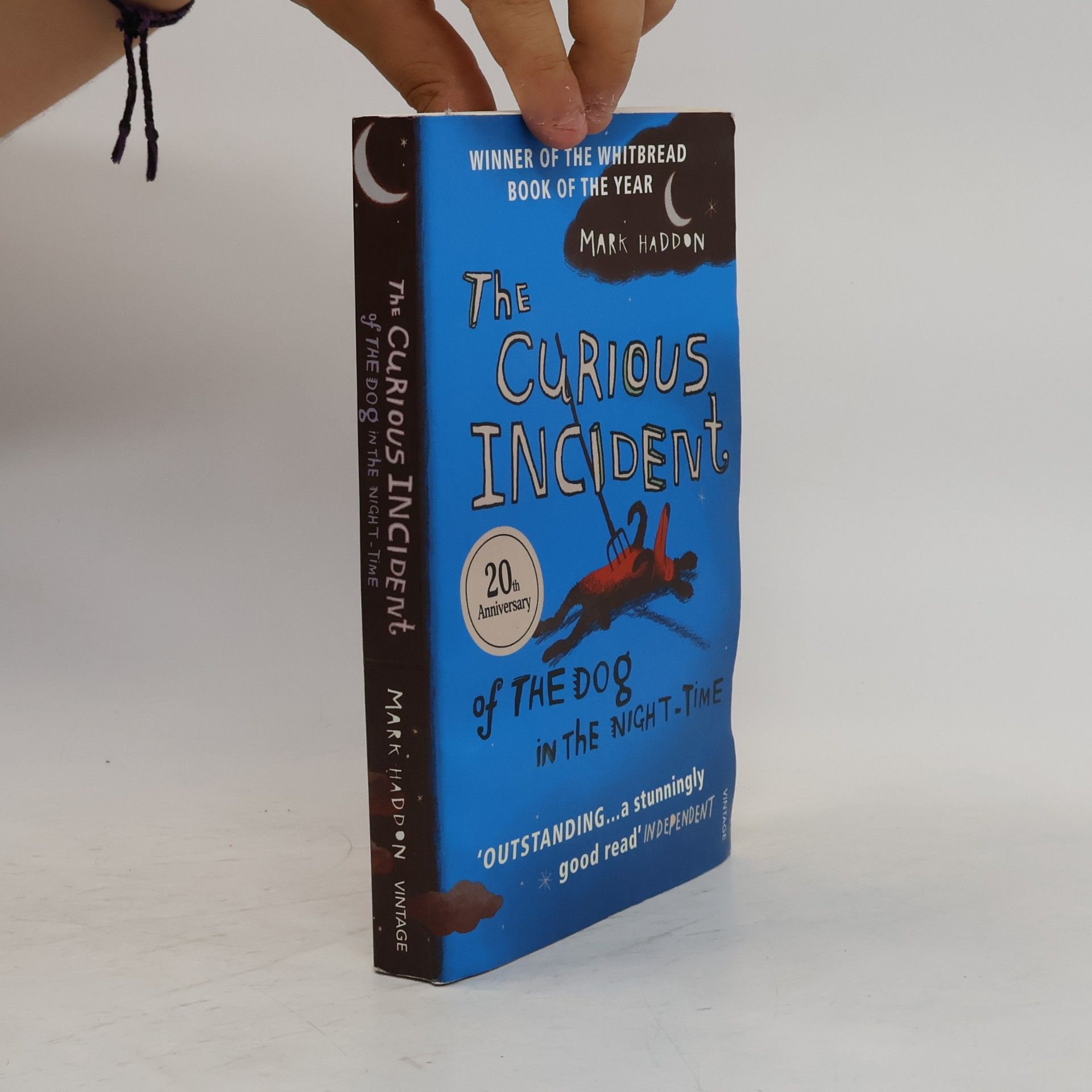 Mark Haddon The Curious Incident of the Dog in the Night-Time