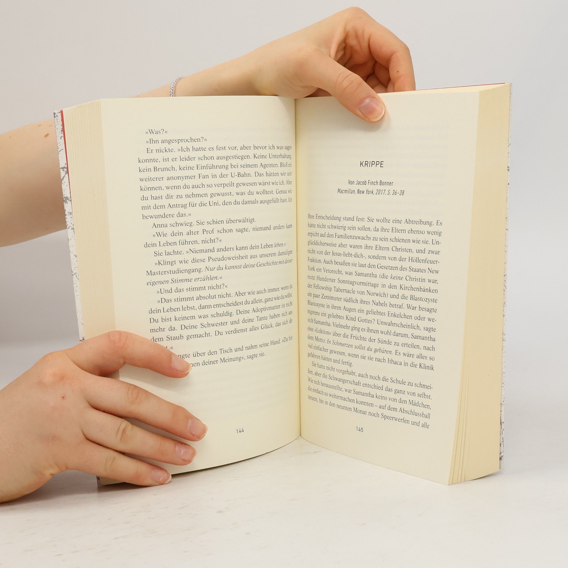 Jean Hanff Korelitz Der Plot