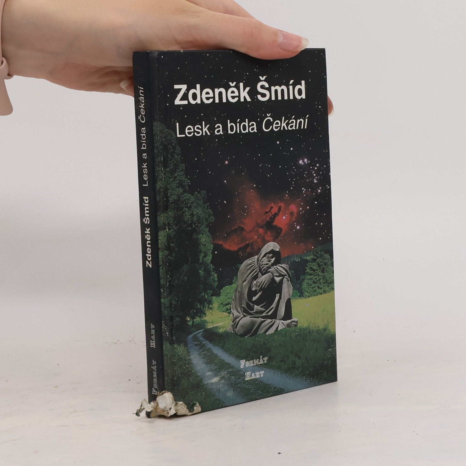 Zdeněk Šmíd Lesk a bída Čekání