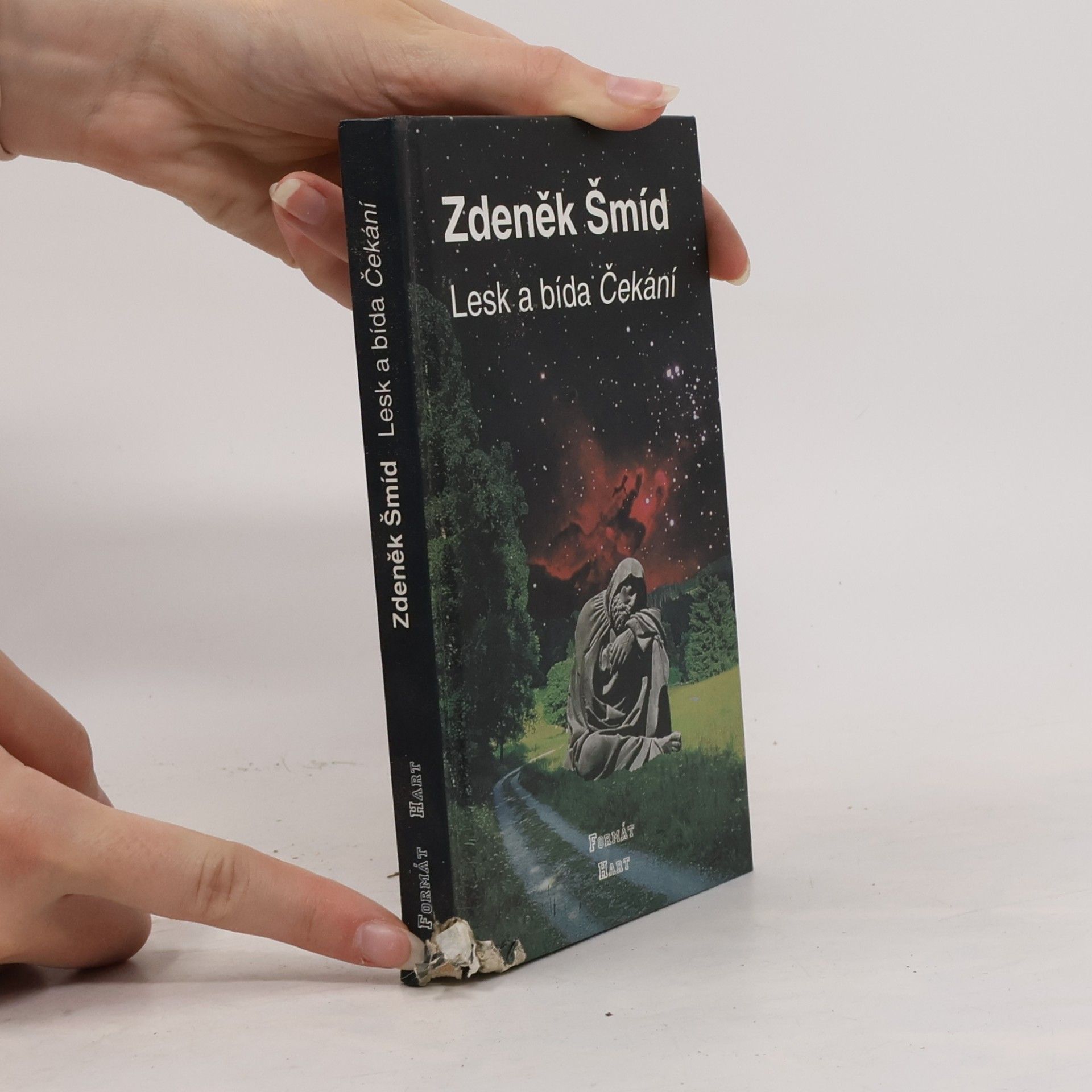 Zdeněk Šmíd Lesk a bída Čekání