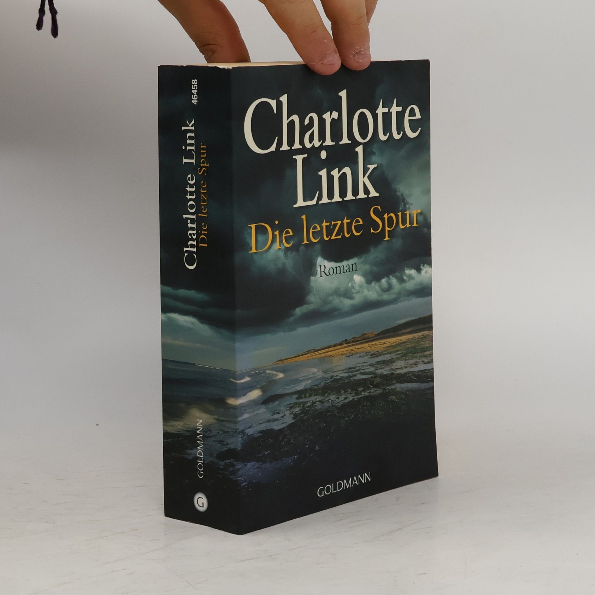 Charlotte Link Die letzte Spur