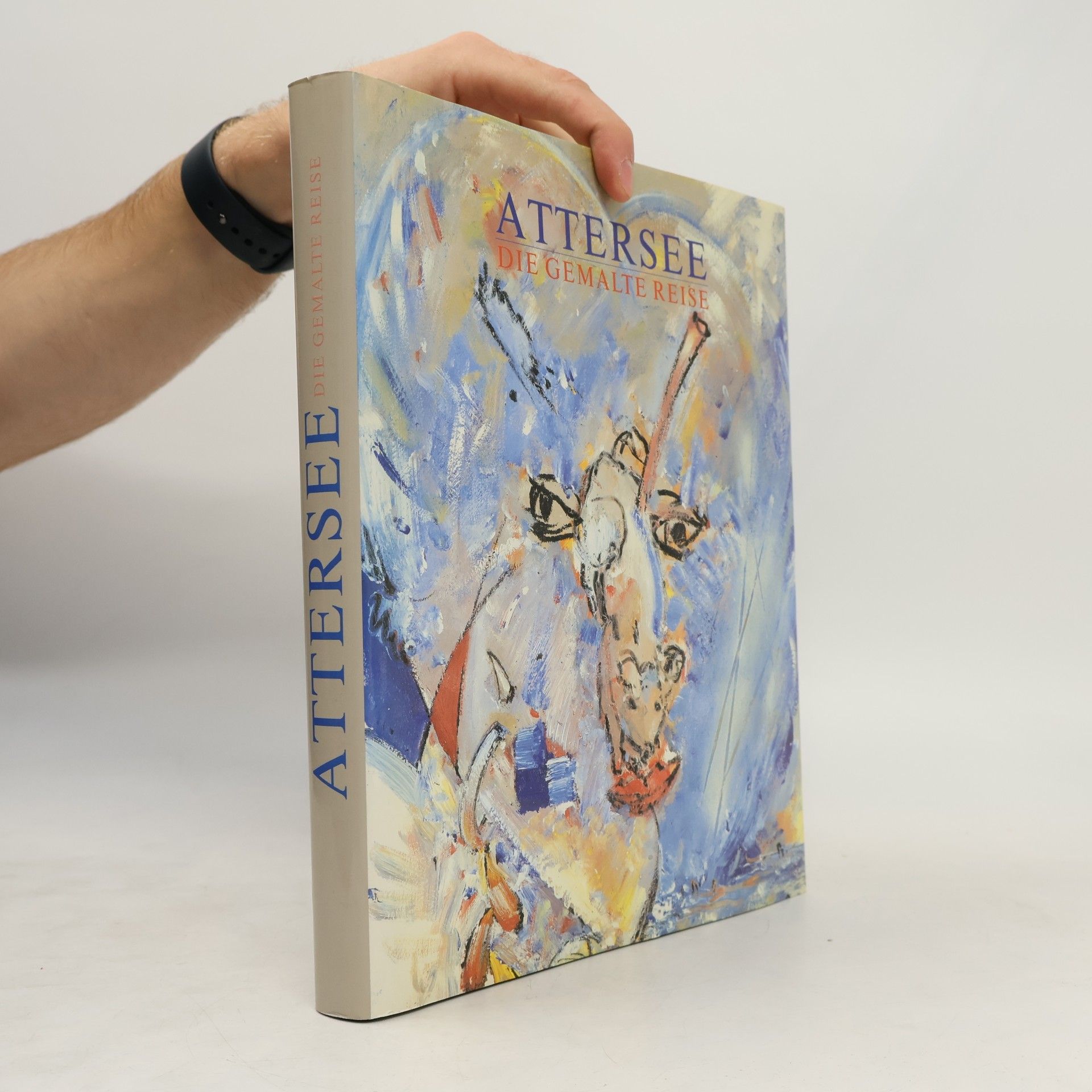 Kolektiv autorů Attersee. Die Gemalte Reise