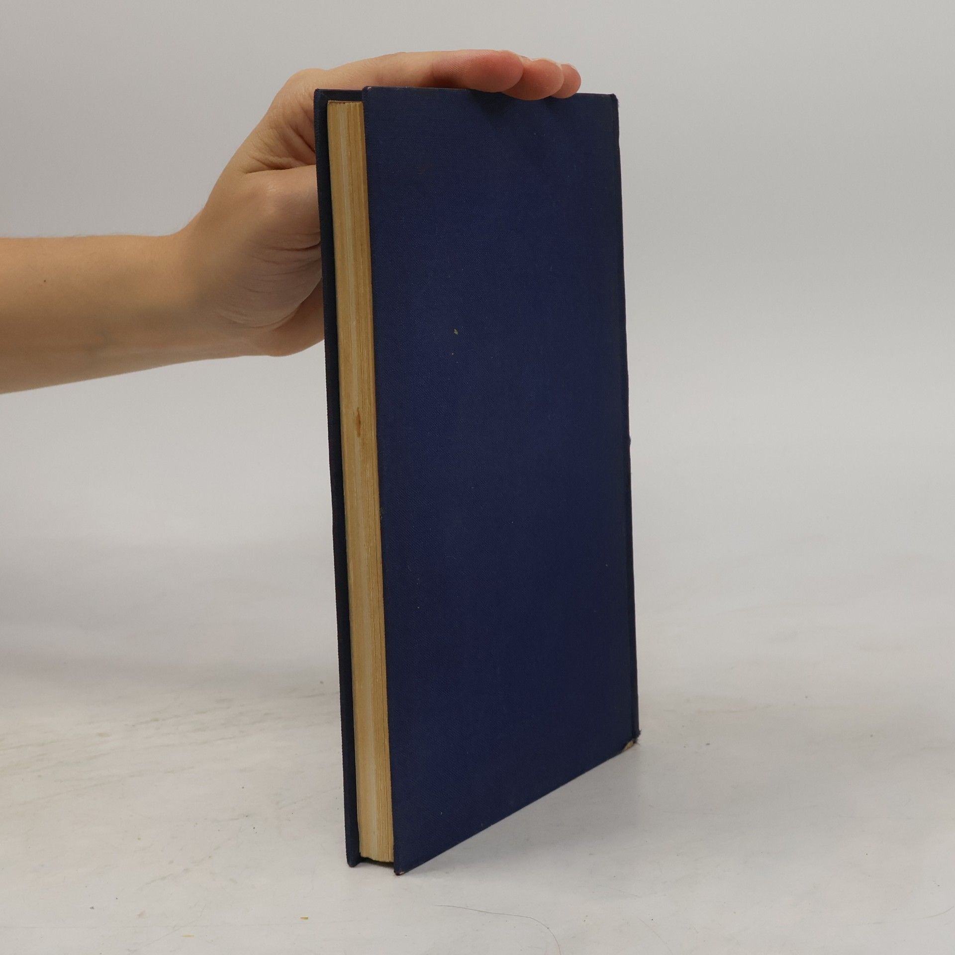 Jochen Klepper In tormentis pinxit