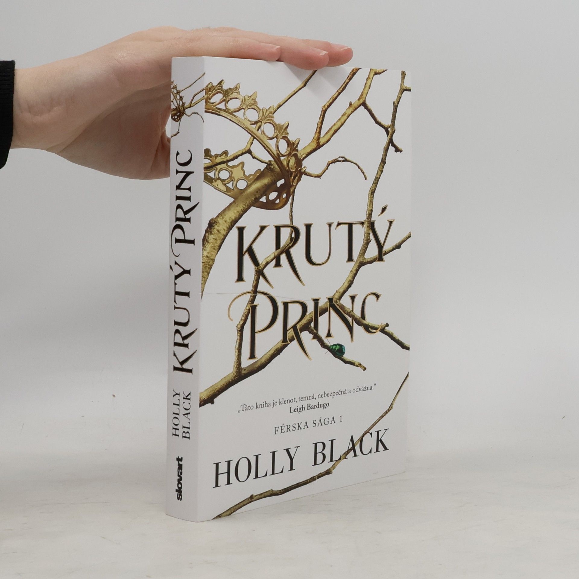 Holly Black Krutý princ