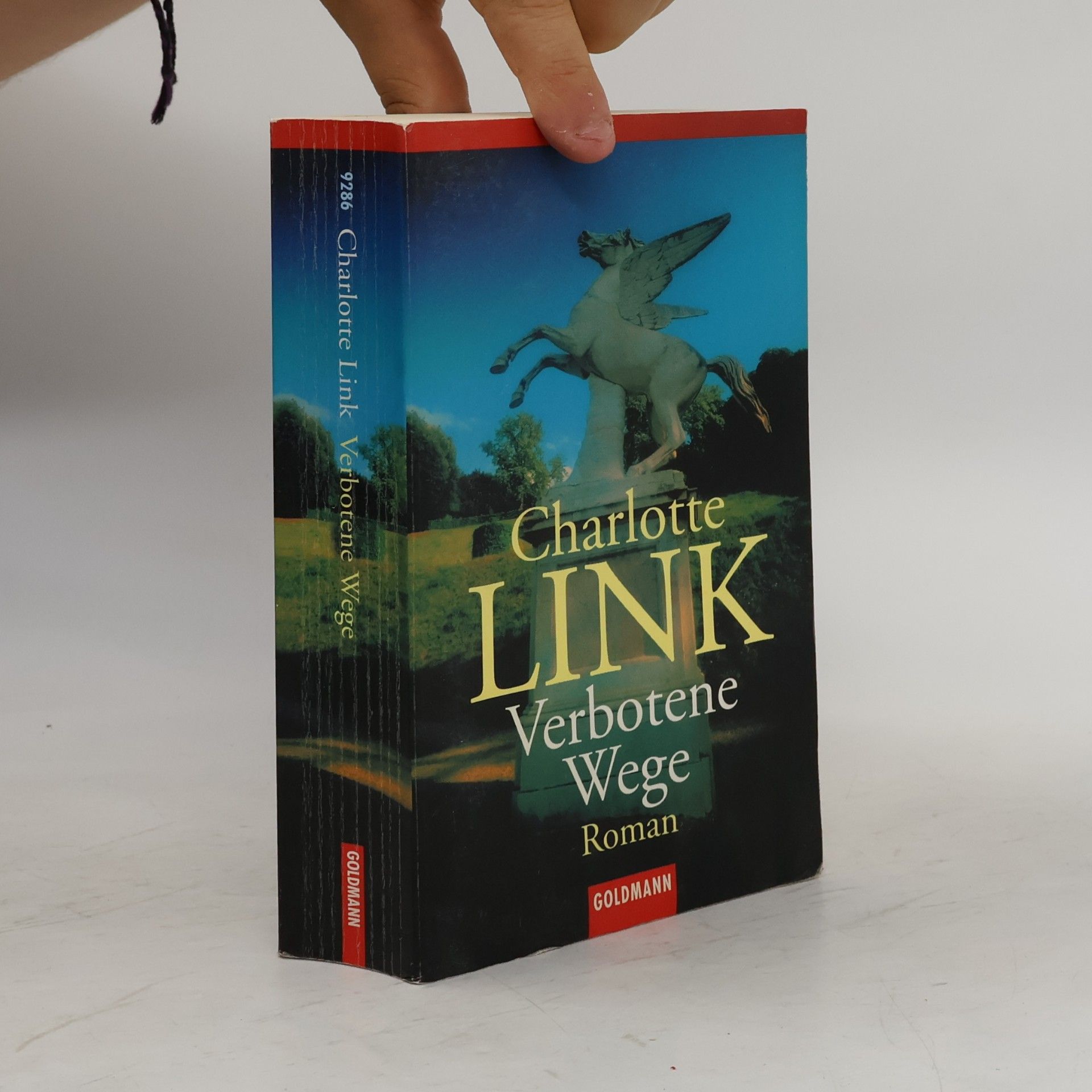 Charlotte Link Verbotene Wege