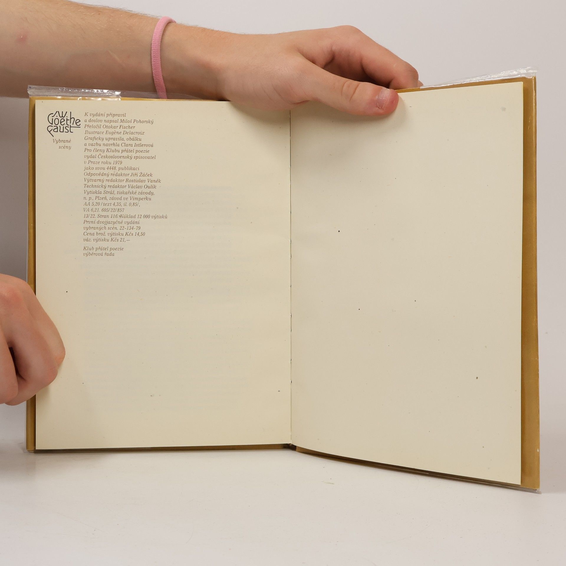 Johann Wolfgang von Goethe Faust