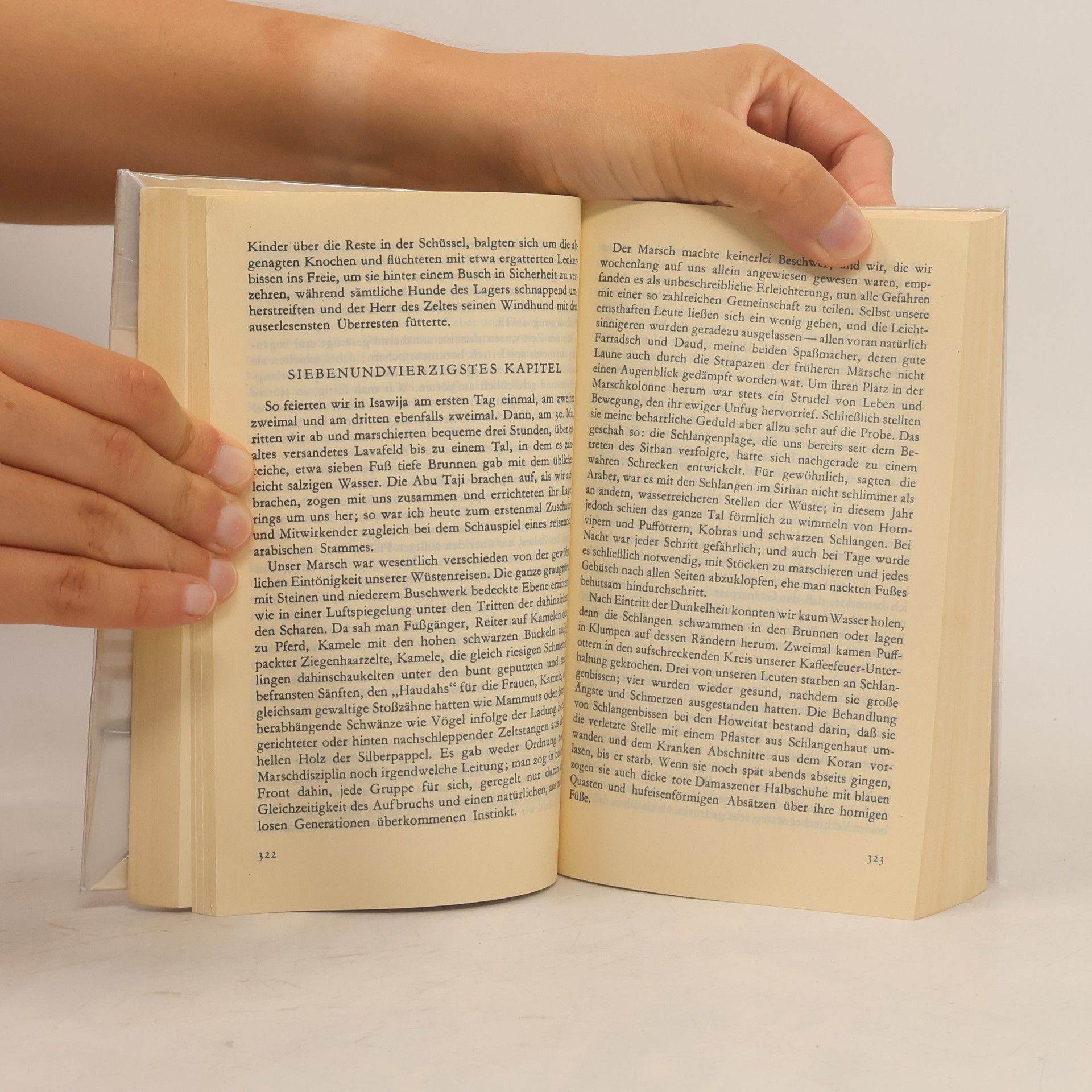 T. E. Lawrence Die sieben Säulen der Weisheit