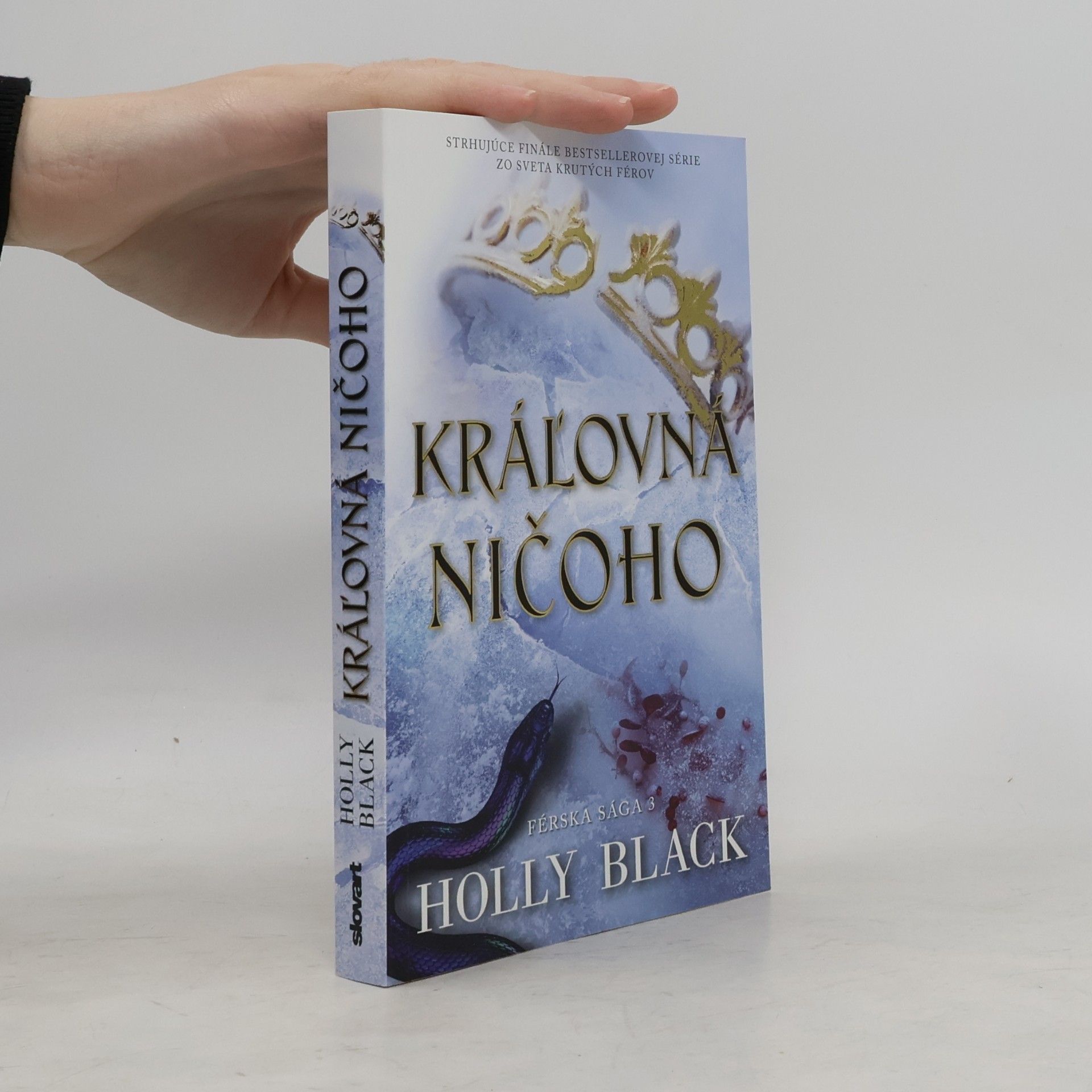 Holly Black Kráľovná ničoho