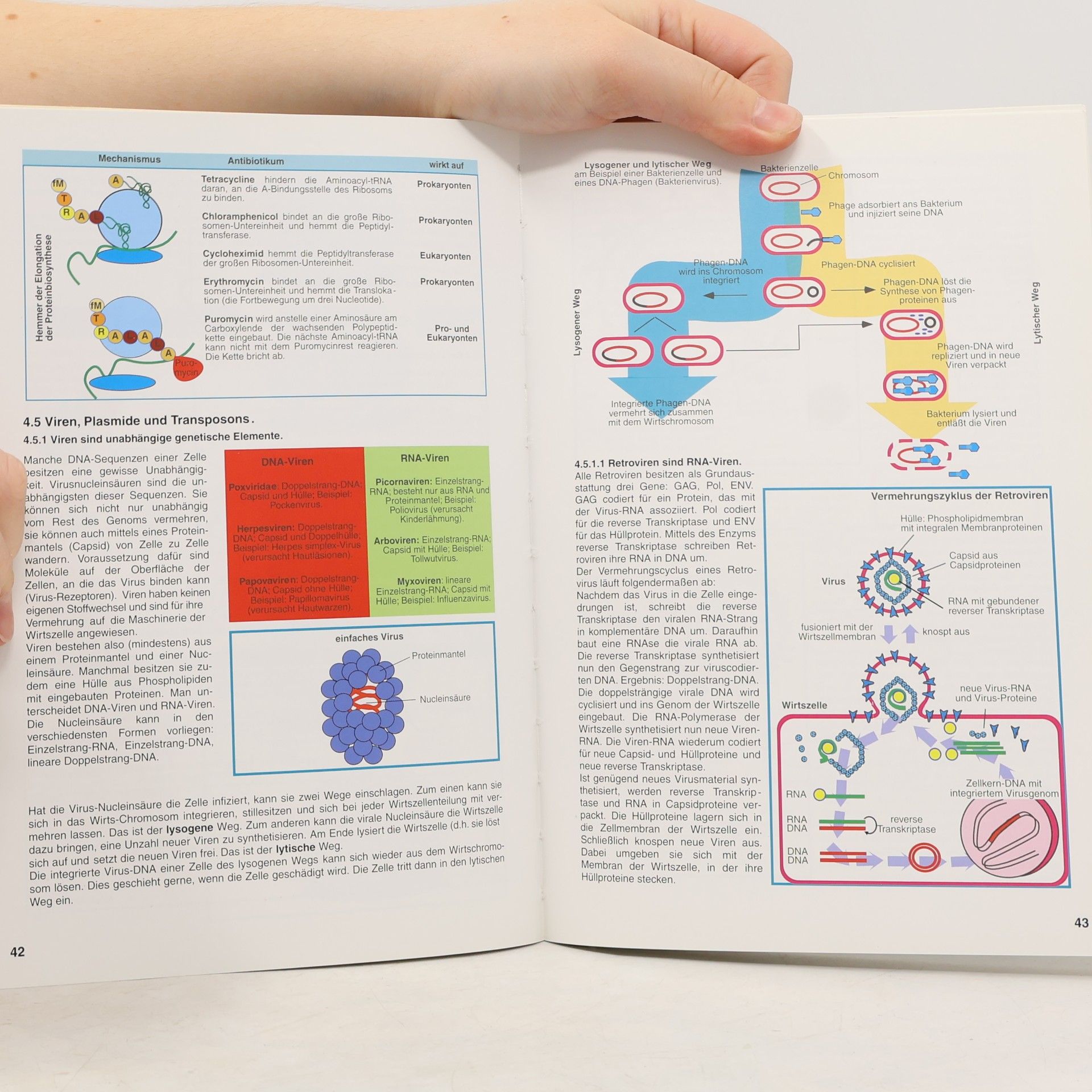 Hubert Rehm Biochemie light
